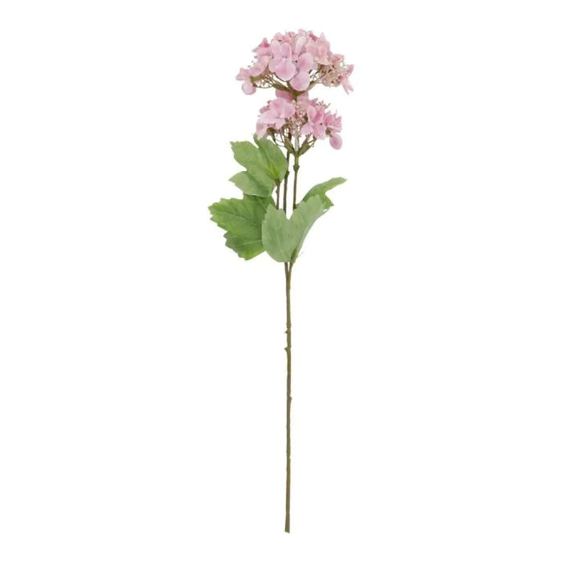 Hortensie Edel/2 Blüten, rosa, 48 cm