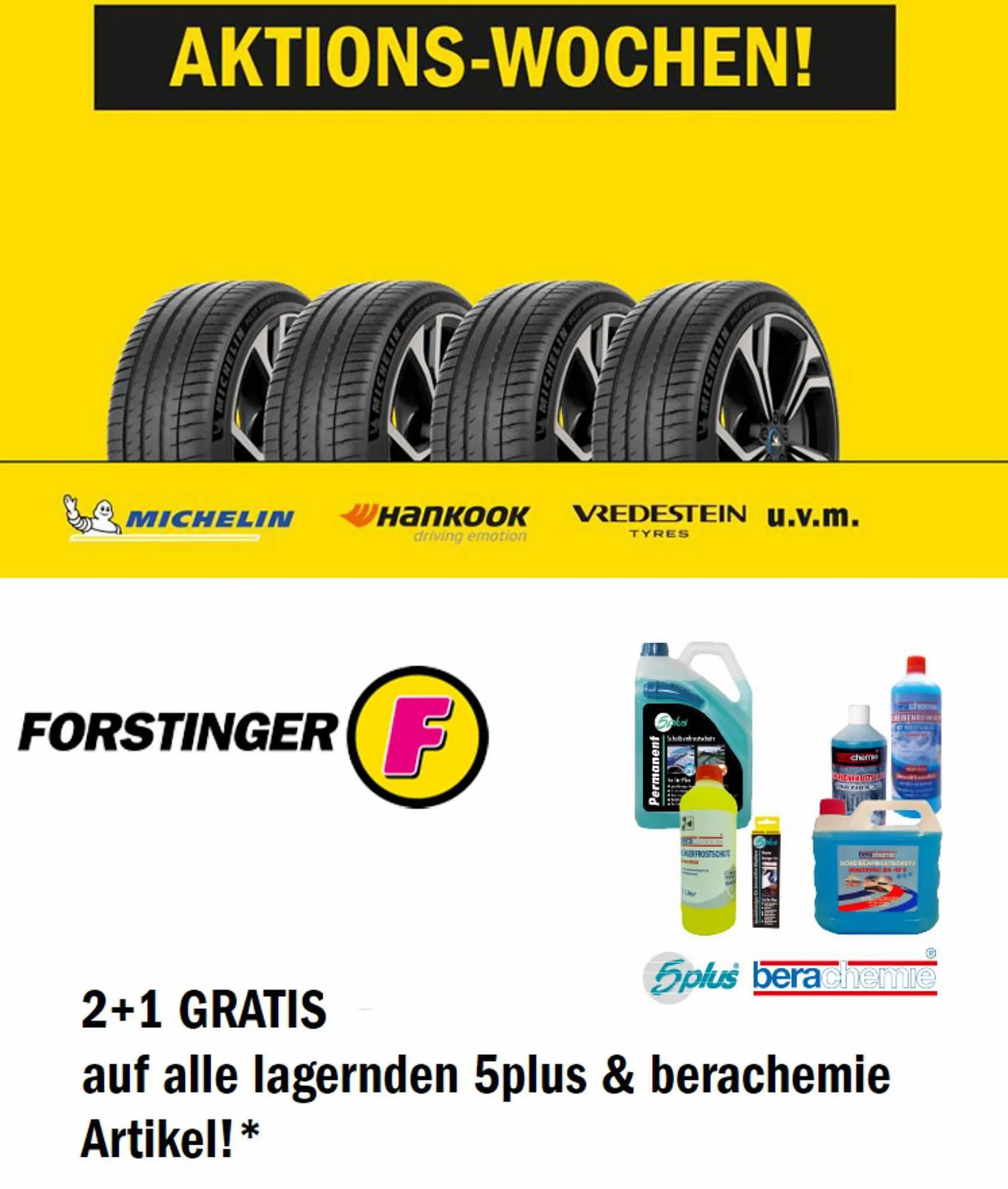 Forstinger Flugblatt - 1
