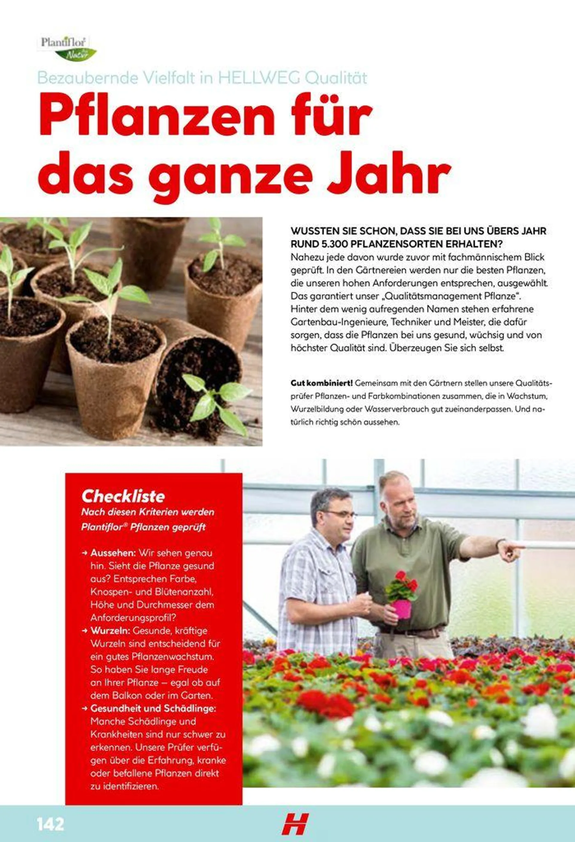 Gartenkatalog 2024 von 28. Mai bis 31. Dezember 2024 - Flugblätt seite  142