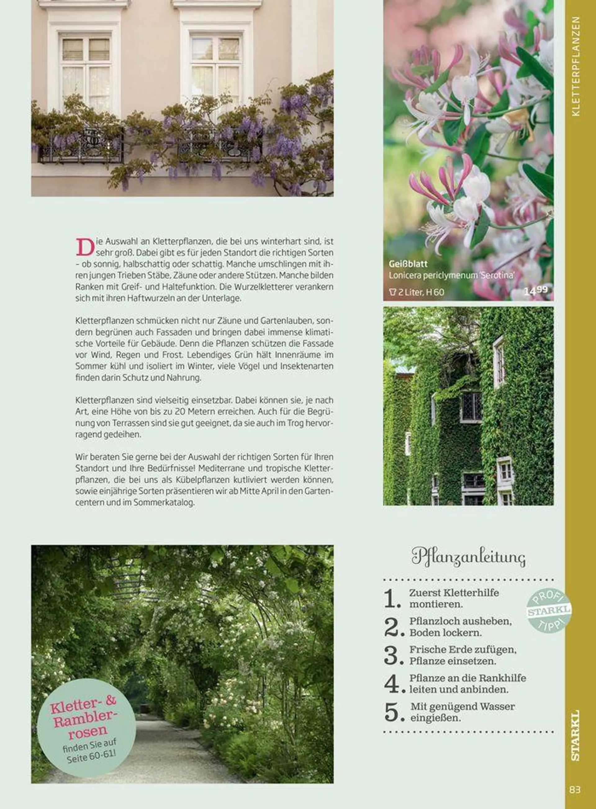 Gartencenter Jahreskatalog 2024 - 83