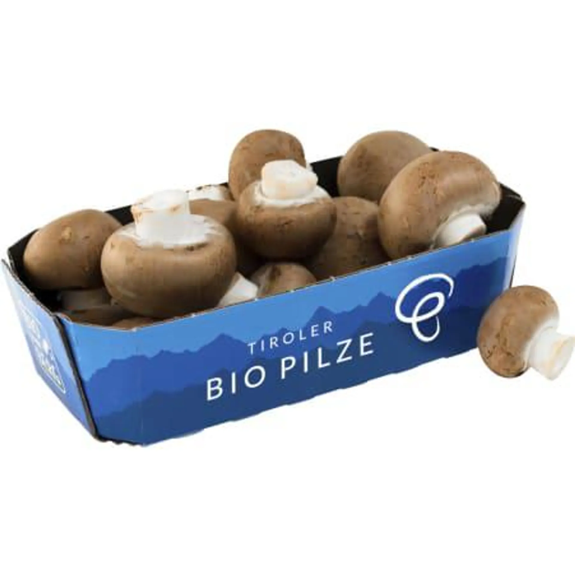 Bio Champignons