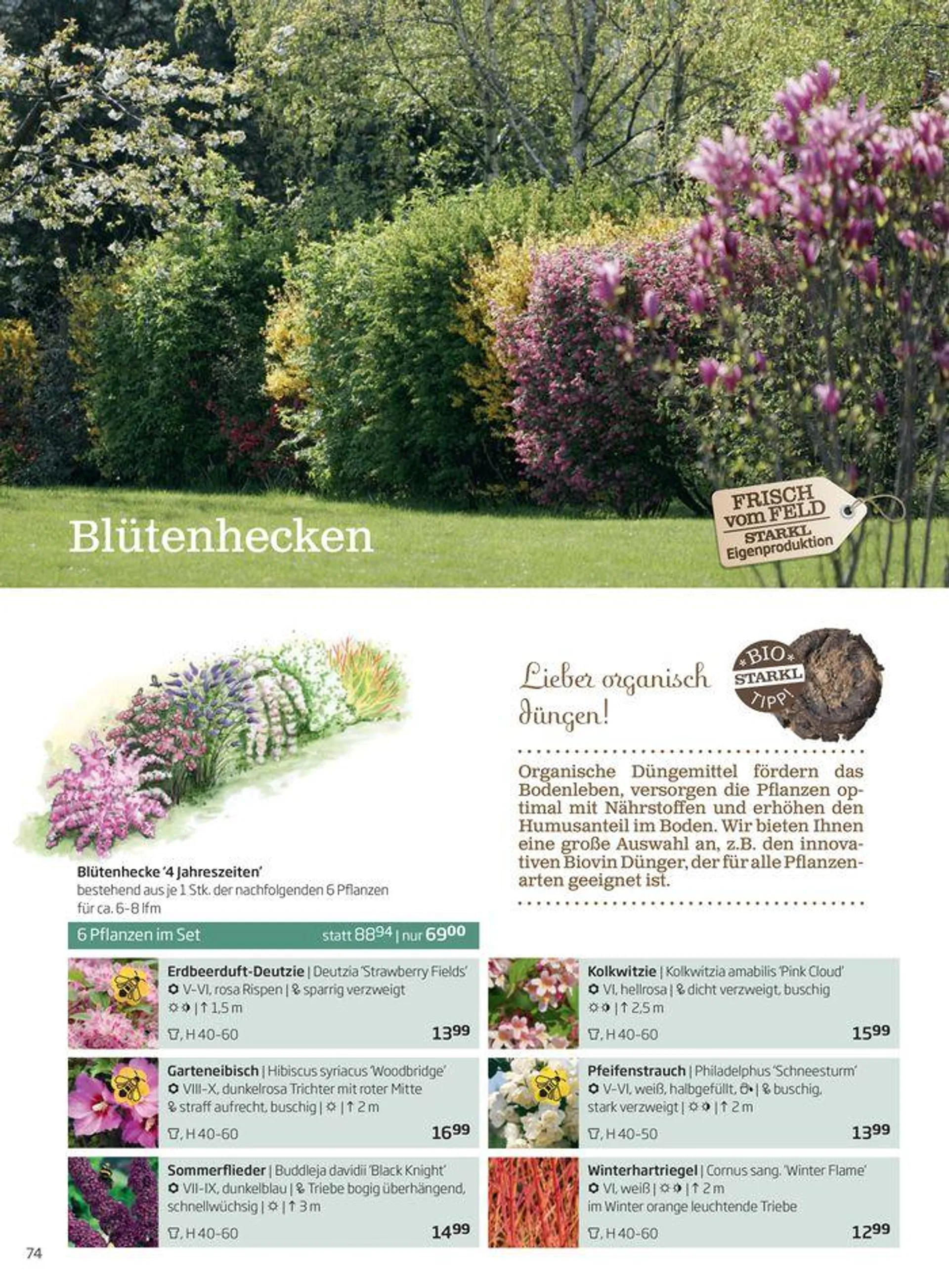 Gartencenter Jahreskatalog 2024 - 74