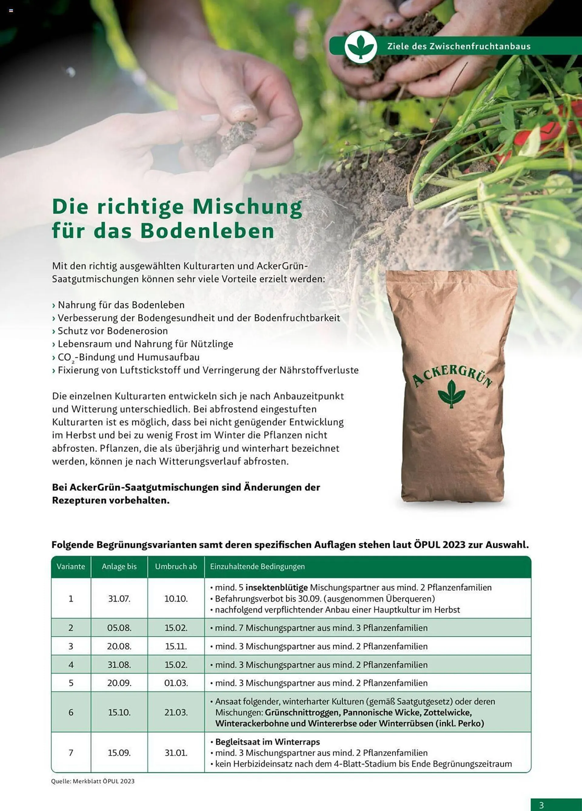 Lagerhaus Flugblatt von 29. März bis 31. August 2023 - Flugblätt seite  3