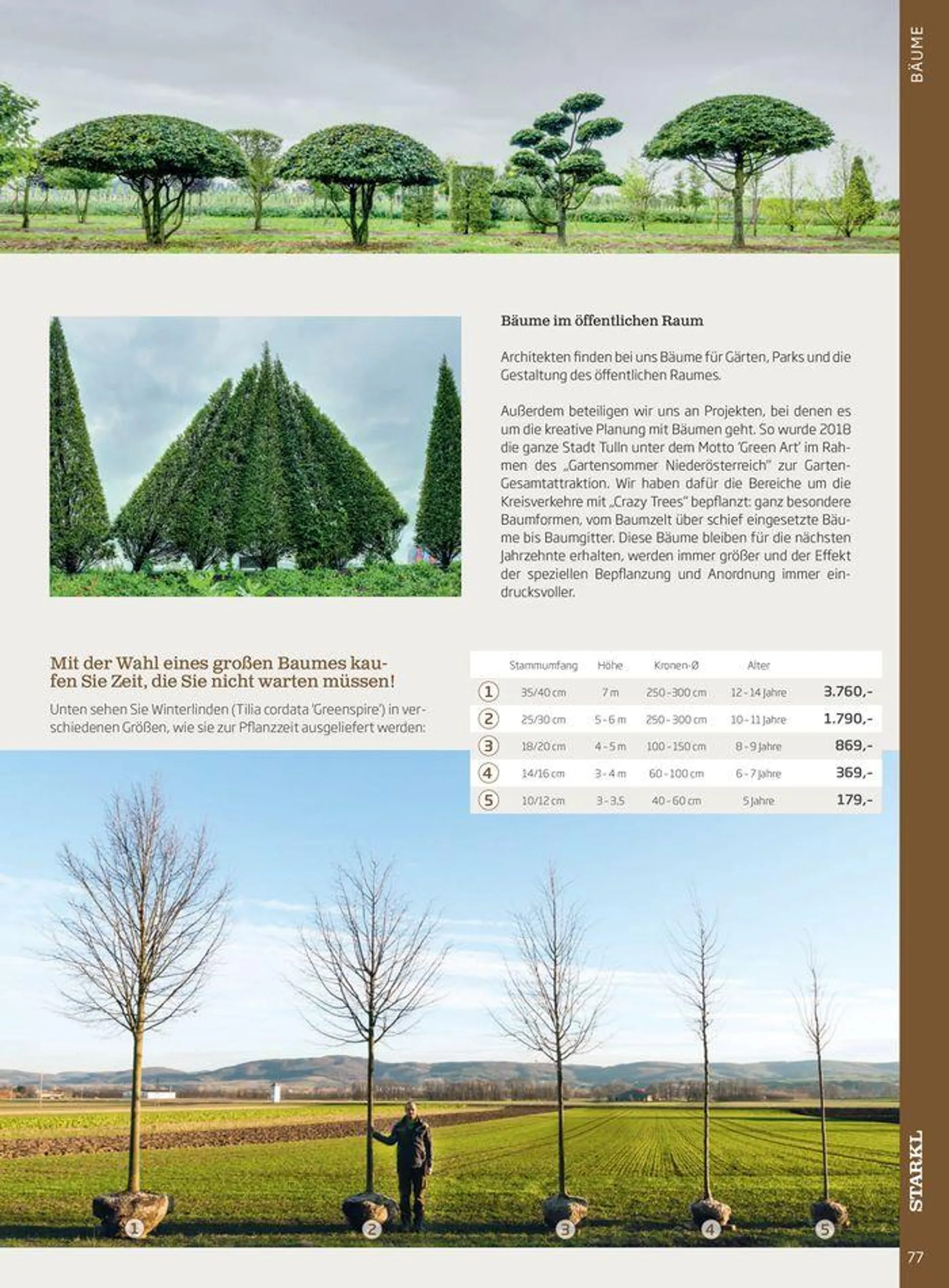 Gartencenter Jahreskatalog 2024 - 77