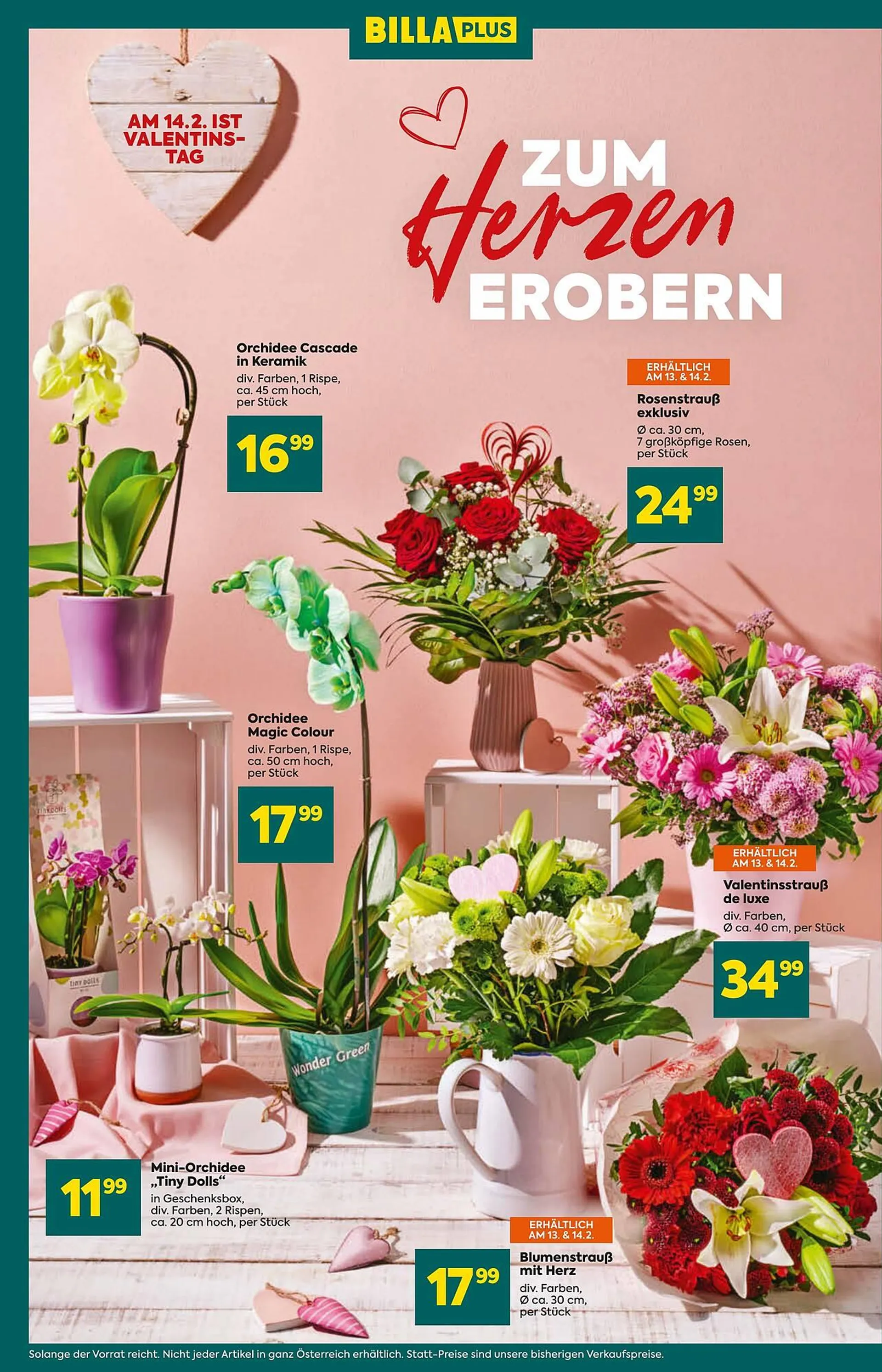 Billa Flugblatt von 13. Februar bis 19. Februar 2025 - Flugblätt seite  6
