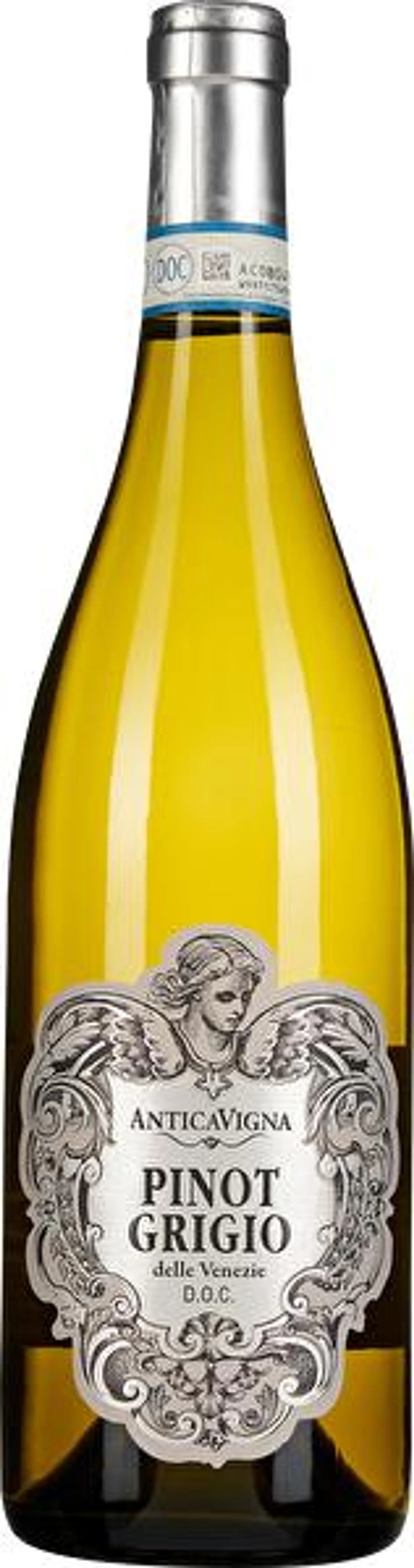 Pinot Grigio 2022