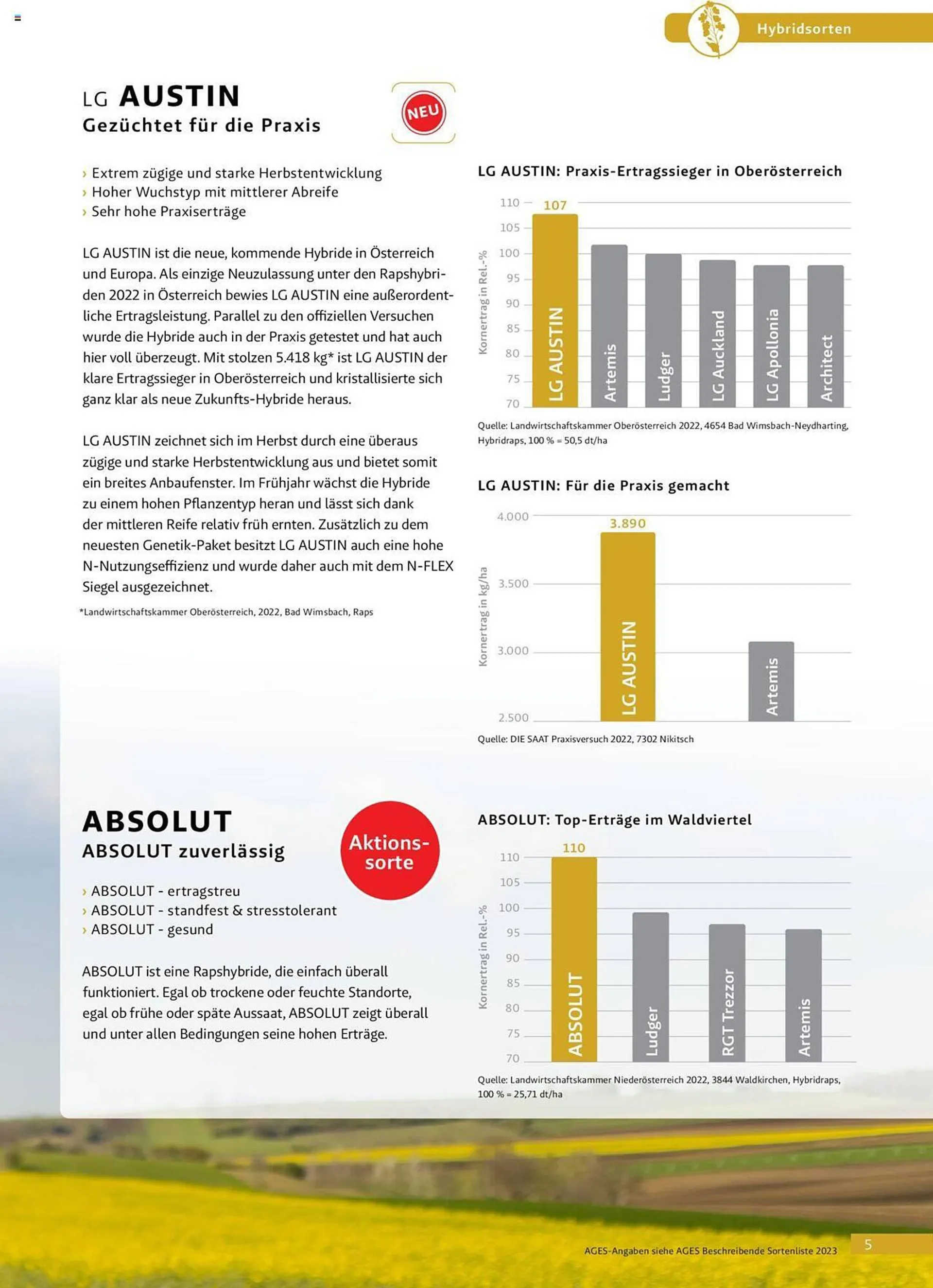 Lagerhaus Flugblatt von 5. Juni bis 25. August 2023 - Flugblätt seite  5