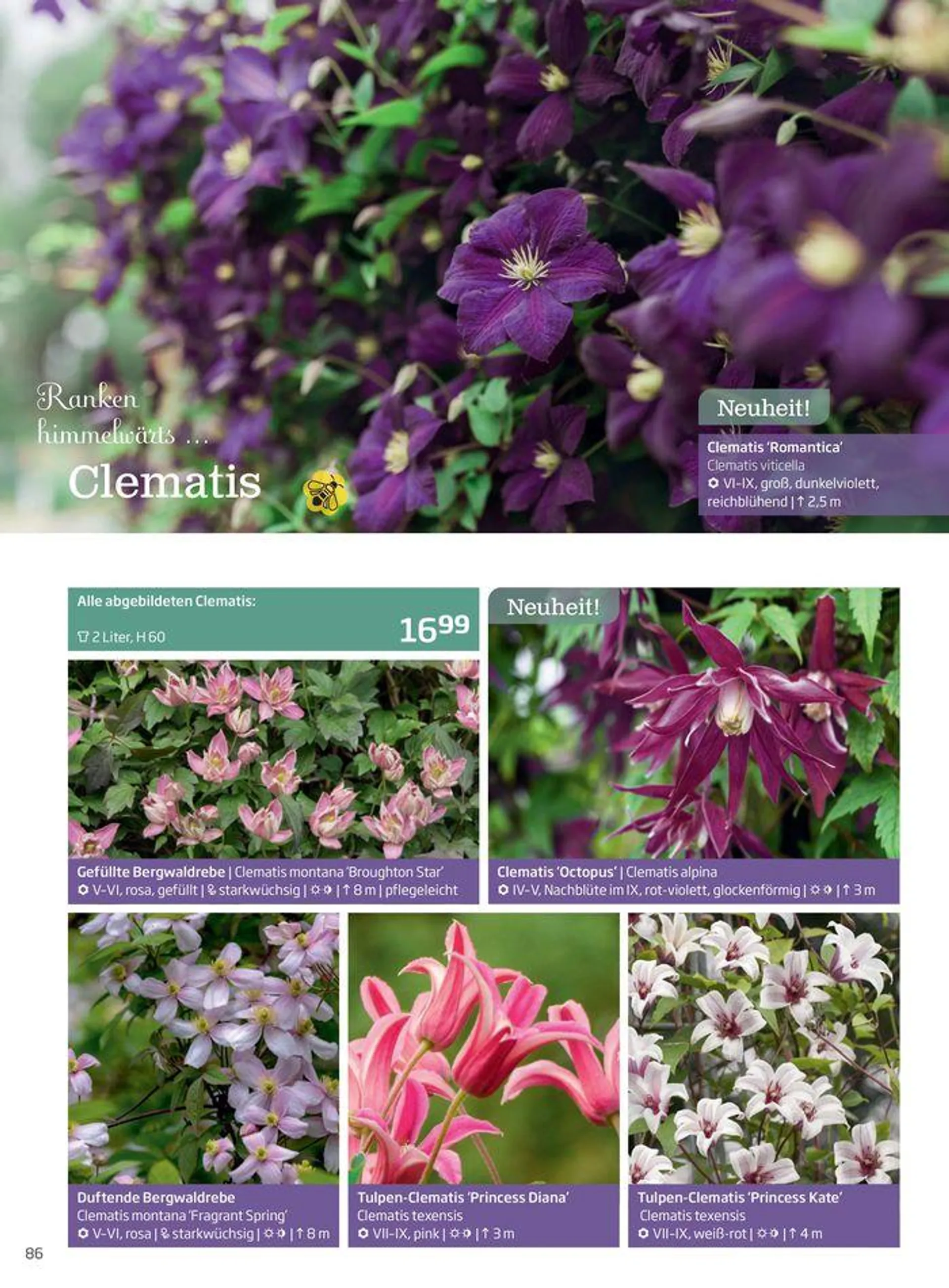 Gartencenter Jahreskatalog 2024 - 86