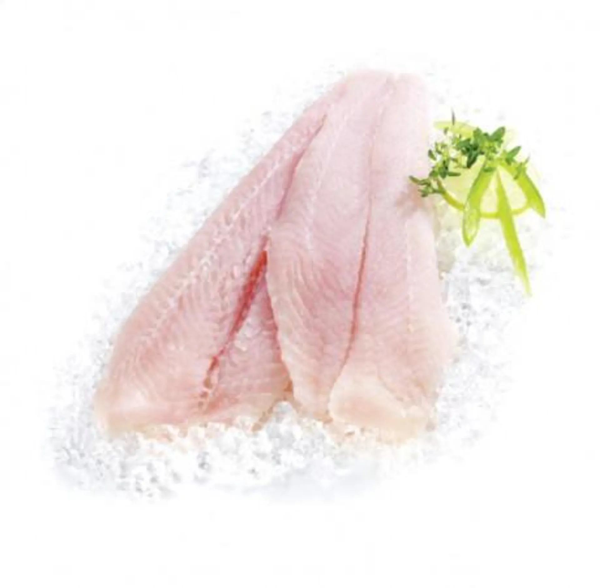 Pangasius Filet ASC TK