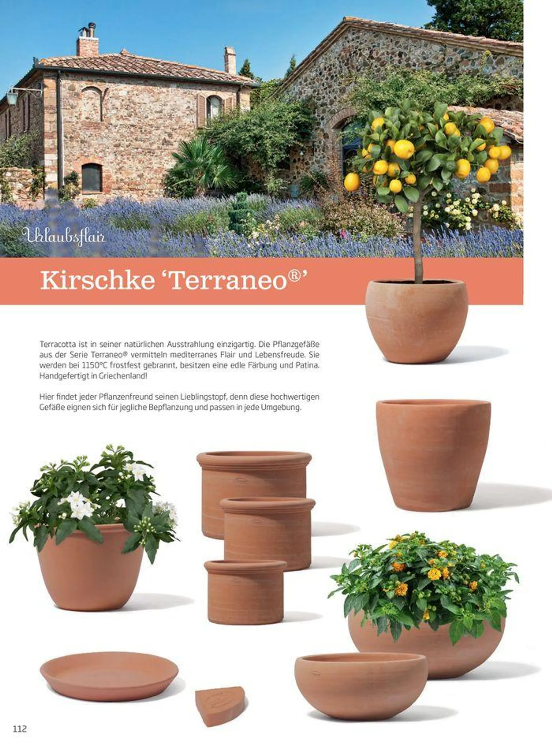 Gartencenter Jahreskatalog 2024 - 112