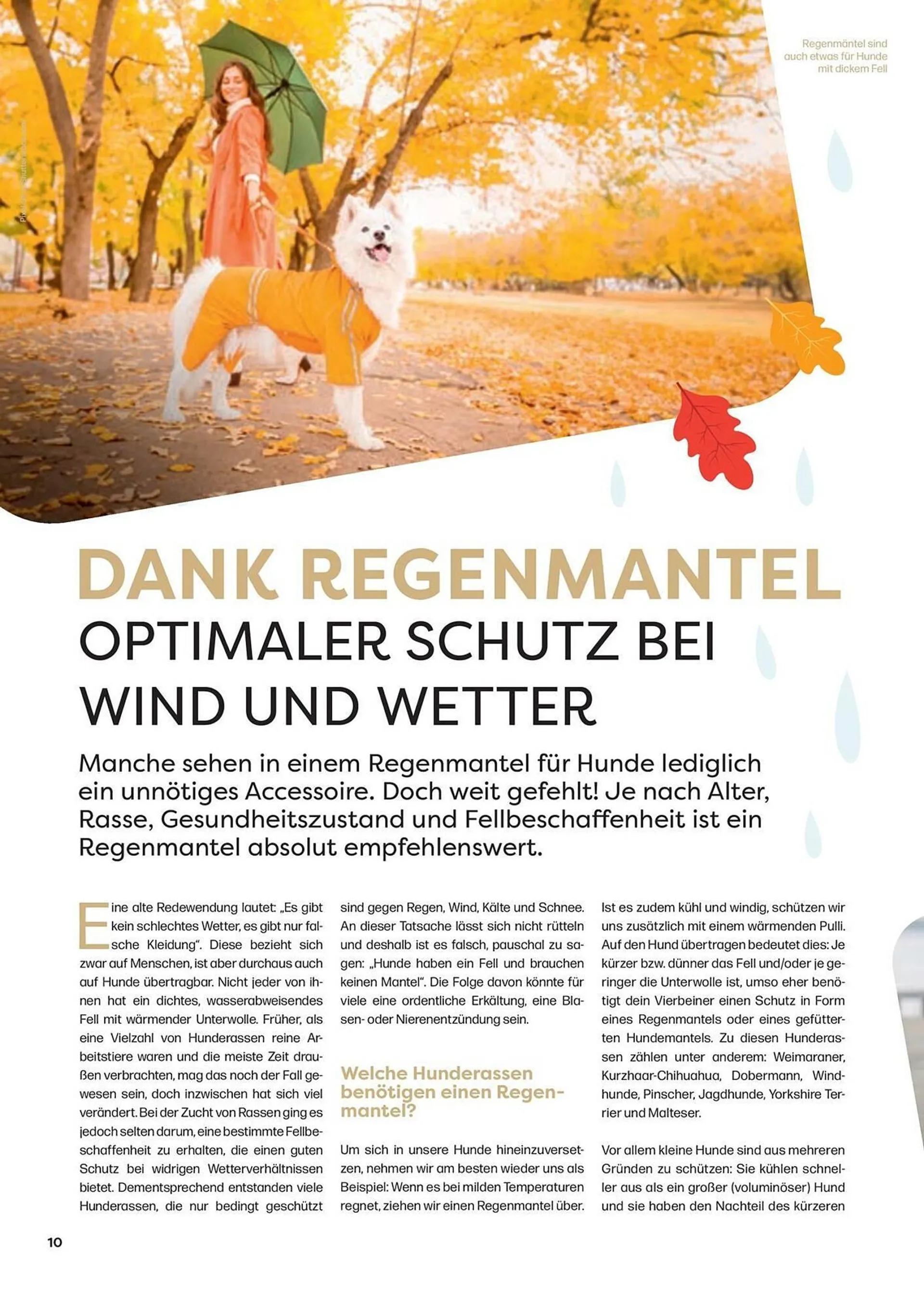 ZOO & Co Flugblatt von 30. August bis 8. November 2024 - Flugblätt seite  10