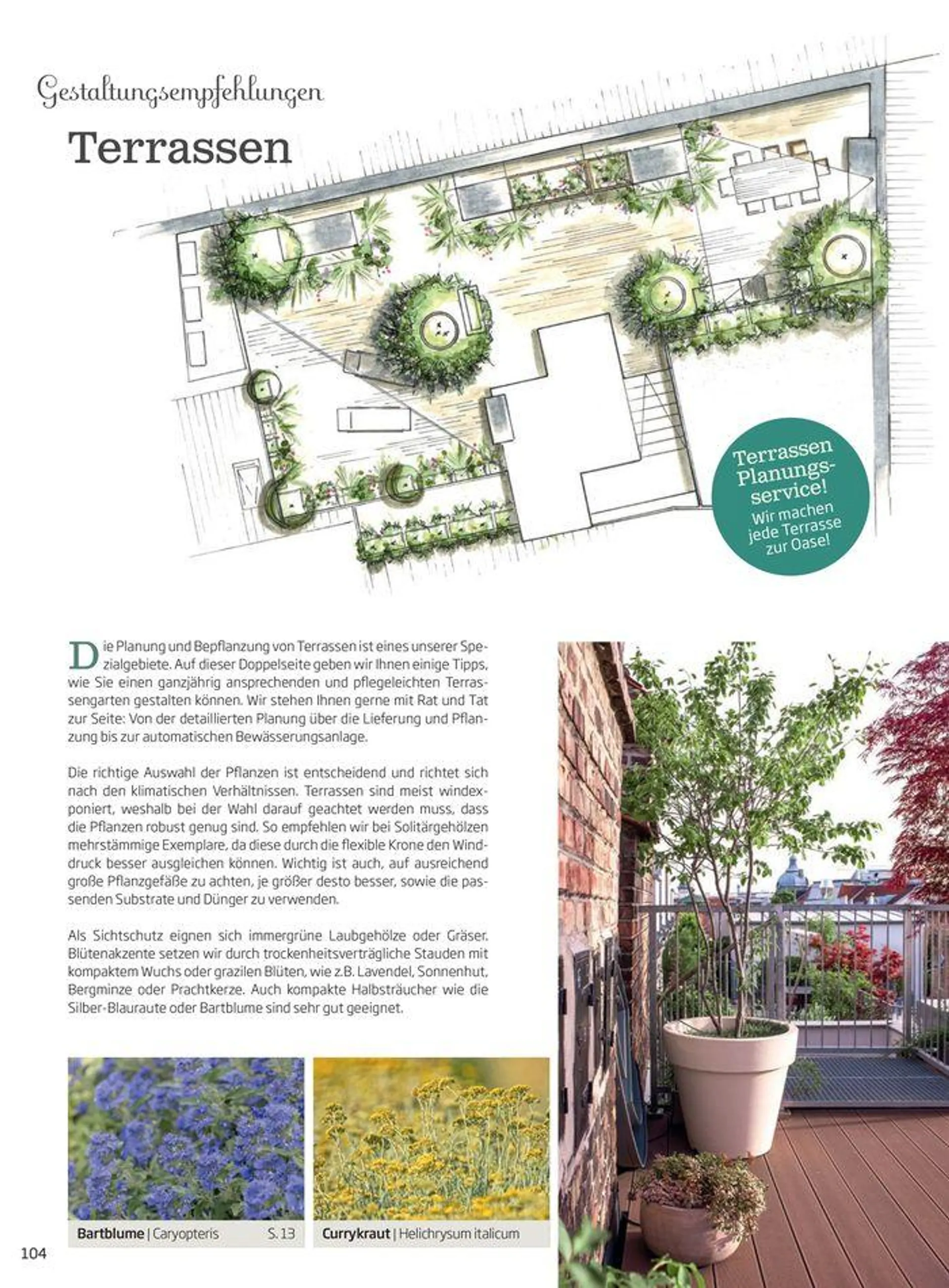 Gartencenter Jahreskatalog 2024 - 104