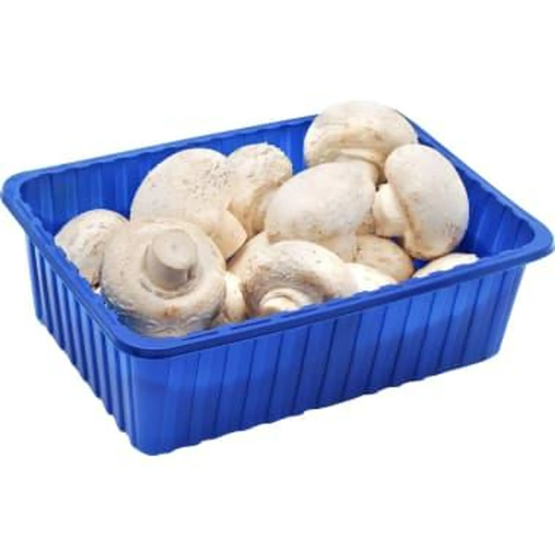 Champignons 500 gr