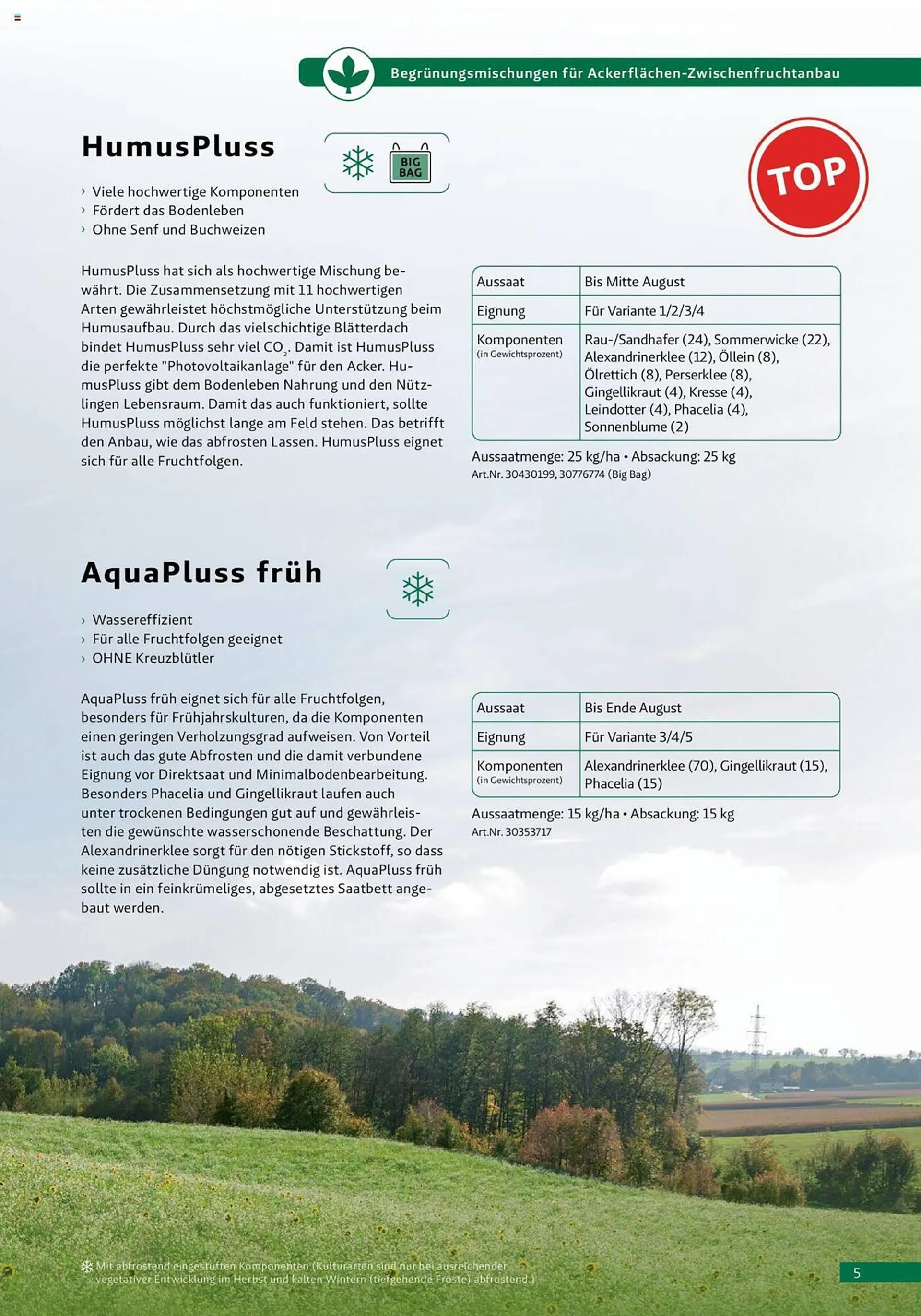 Lagerhaus Flugblatt von 29. März bis 31. August 2023 - Flugblätt seite  5