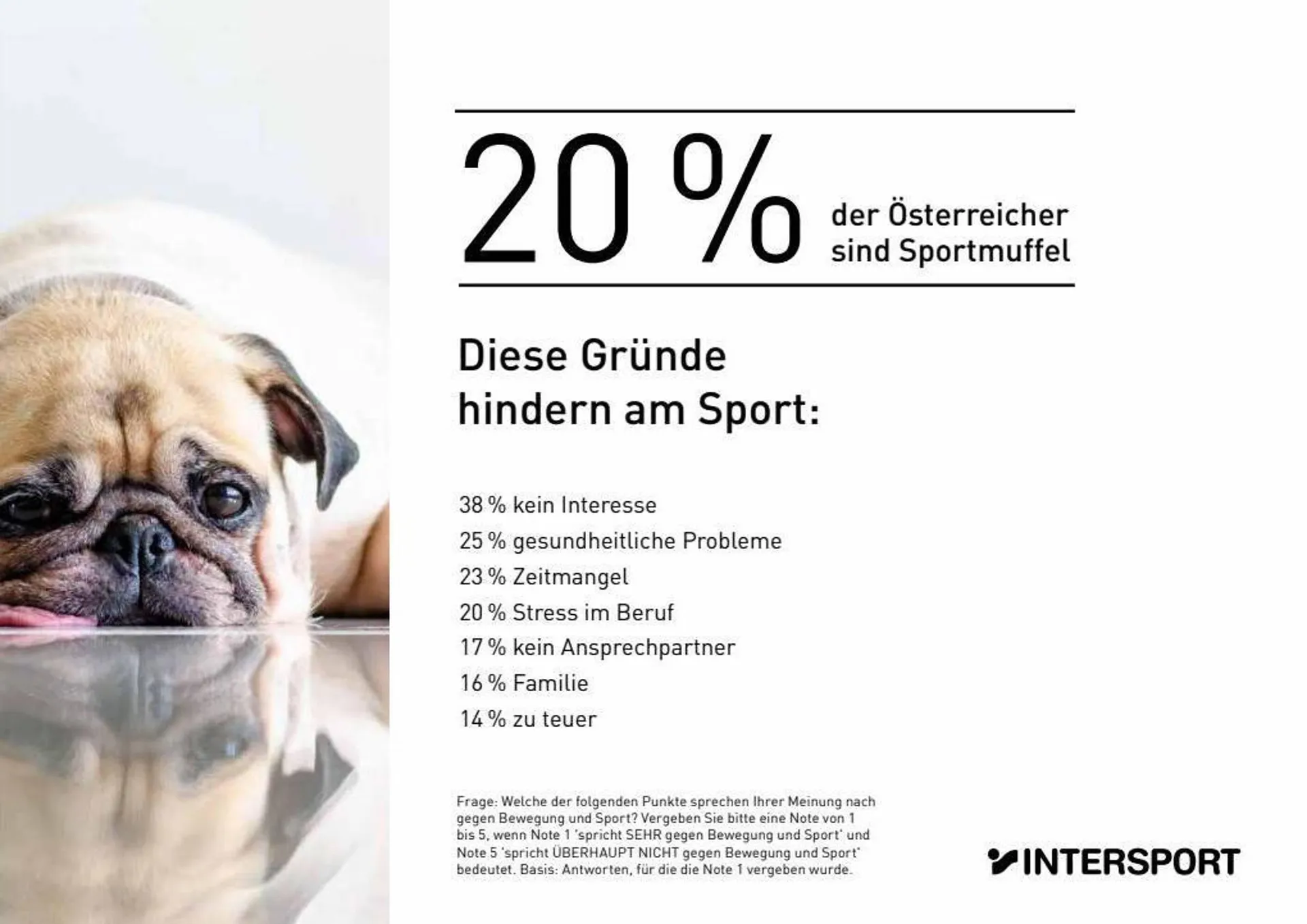 Intersport Flugblatt von 16. Oktober bis 31. Dezember 2023 - Flugblätt seite  29