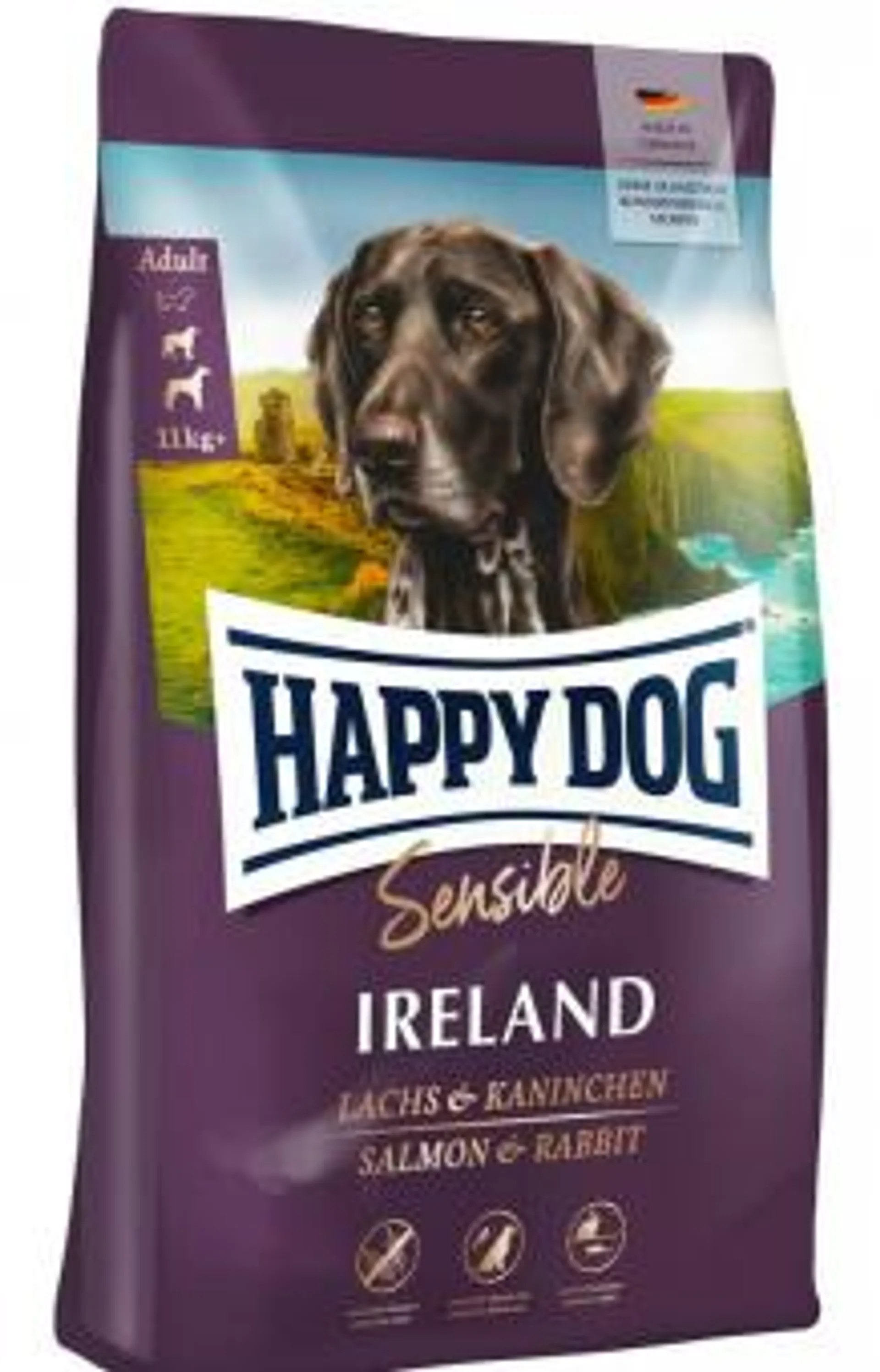 HAPPY DOG Sensible Ireland 1kg mit Lachs & Kaninchen