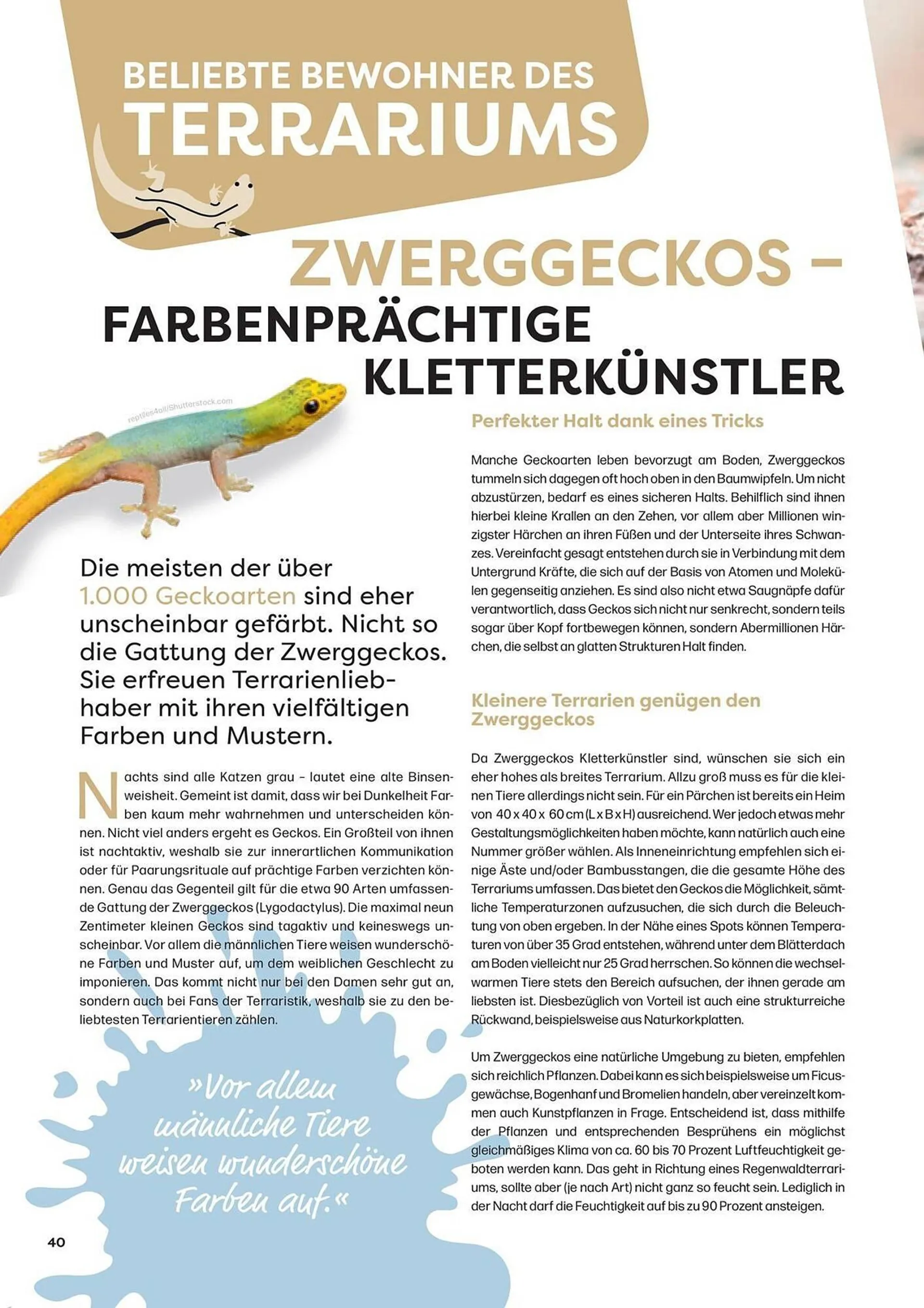 ZOO & Co Flugblatt von 30. August bis 8. November 2024 - Flugblätt seite  40