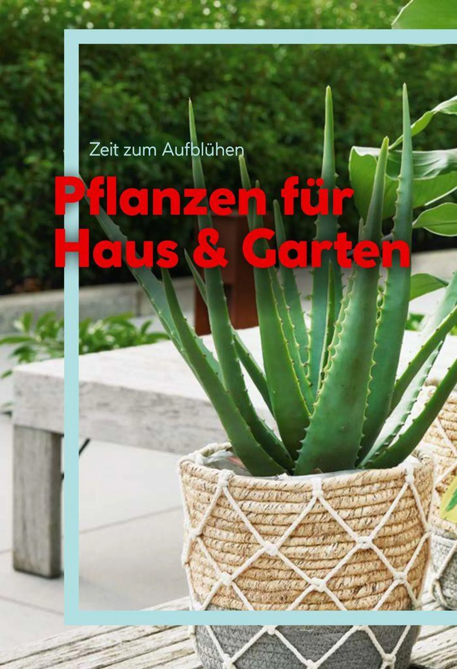 Gartenkatalog 2024 von 28. Mai bis 31. Dezember 2024 - Flugblätt seite  138