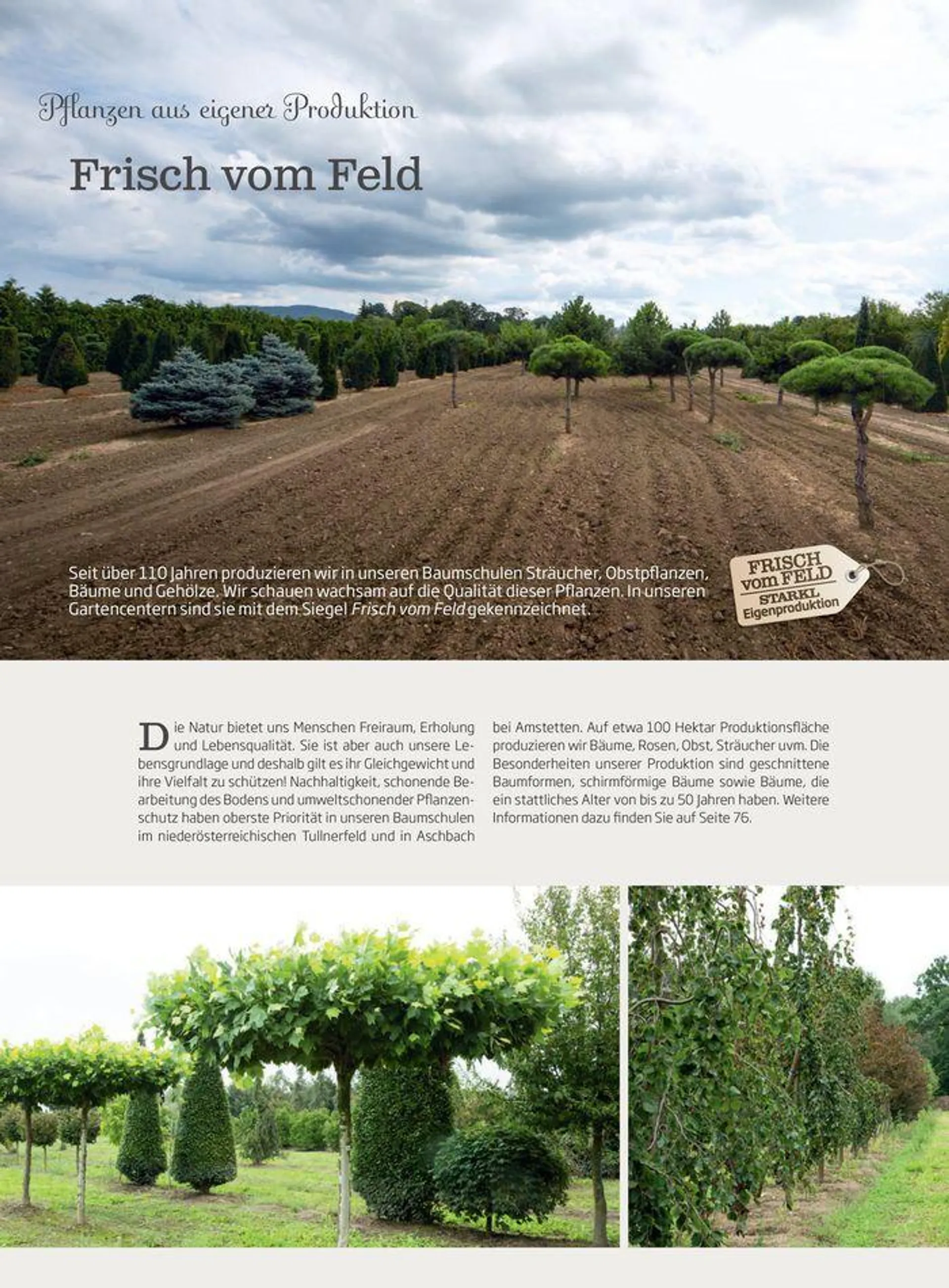 Gartencenter Jahreskatalog 2024 - 4