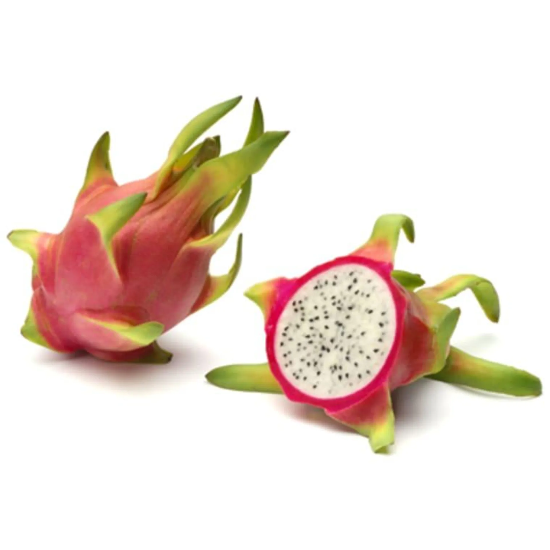 Pitahaya Drachenfrucht rot