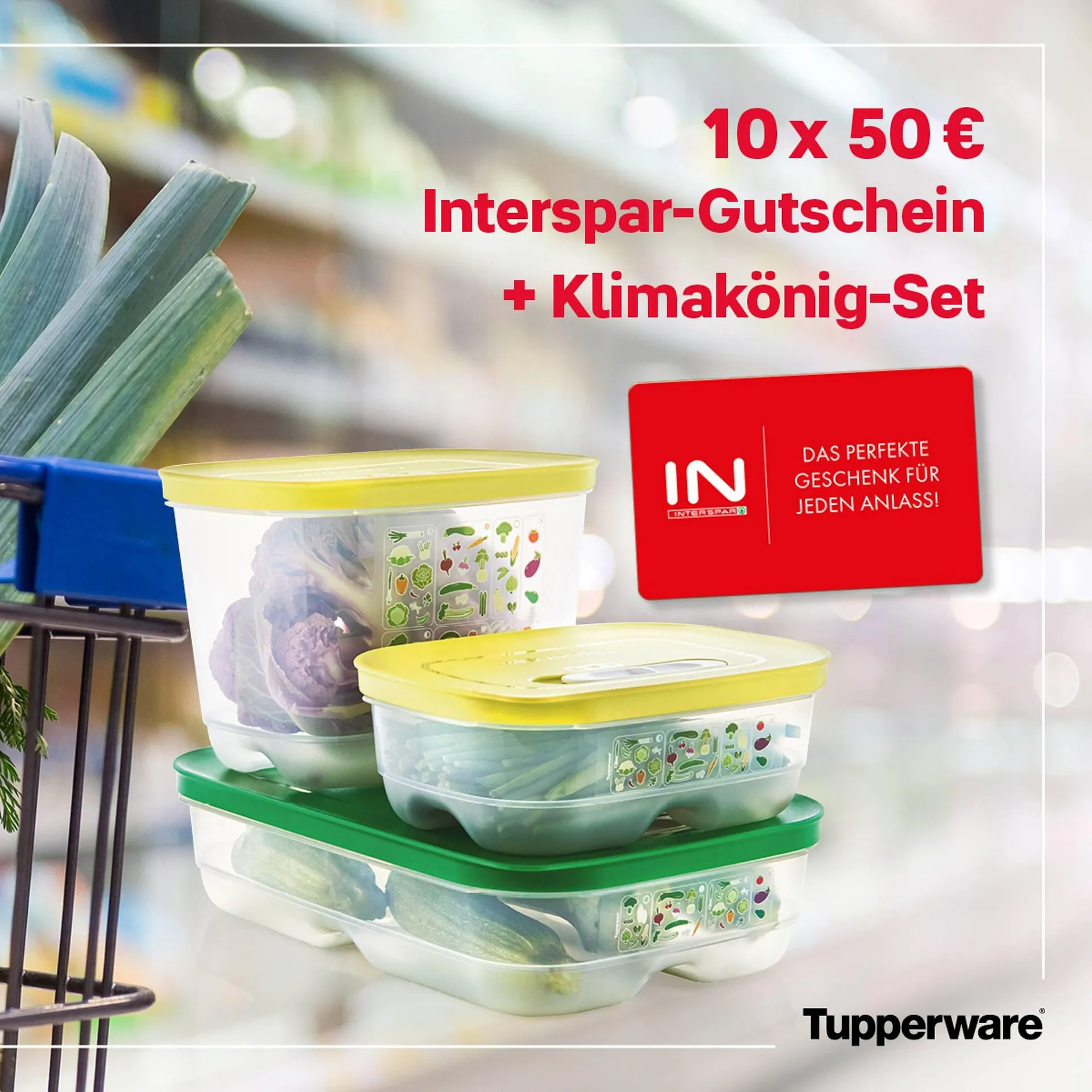 Tupperware Flugblatt von 25. September bis 26. September 2023 - Flugblätt seite  2