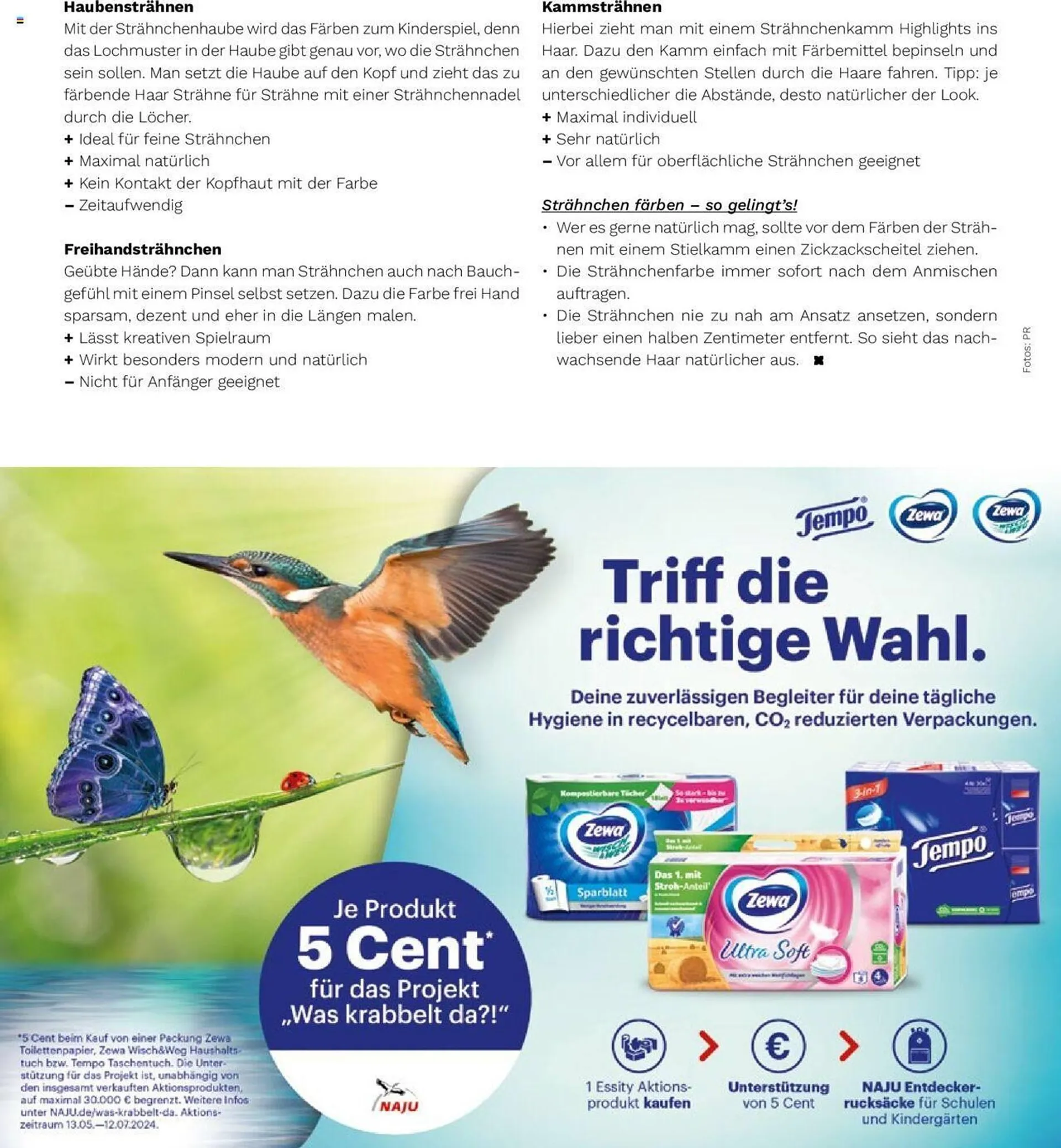 Müller Flugblatt - 38