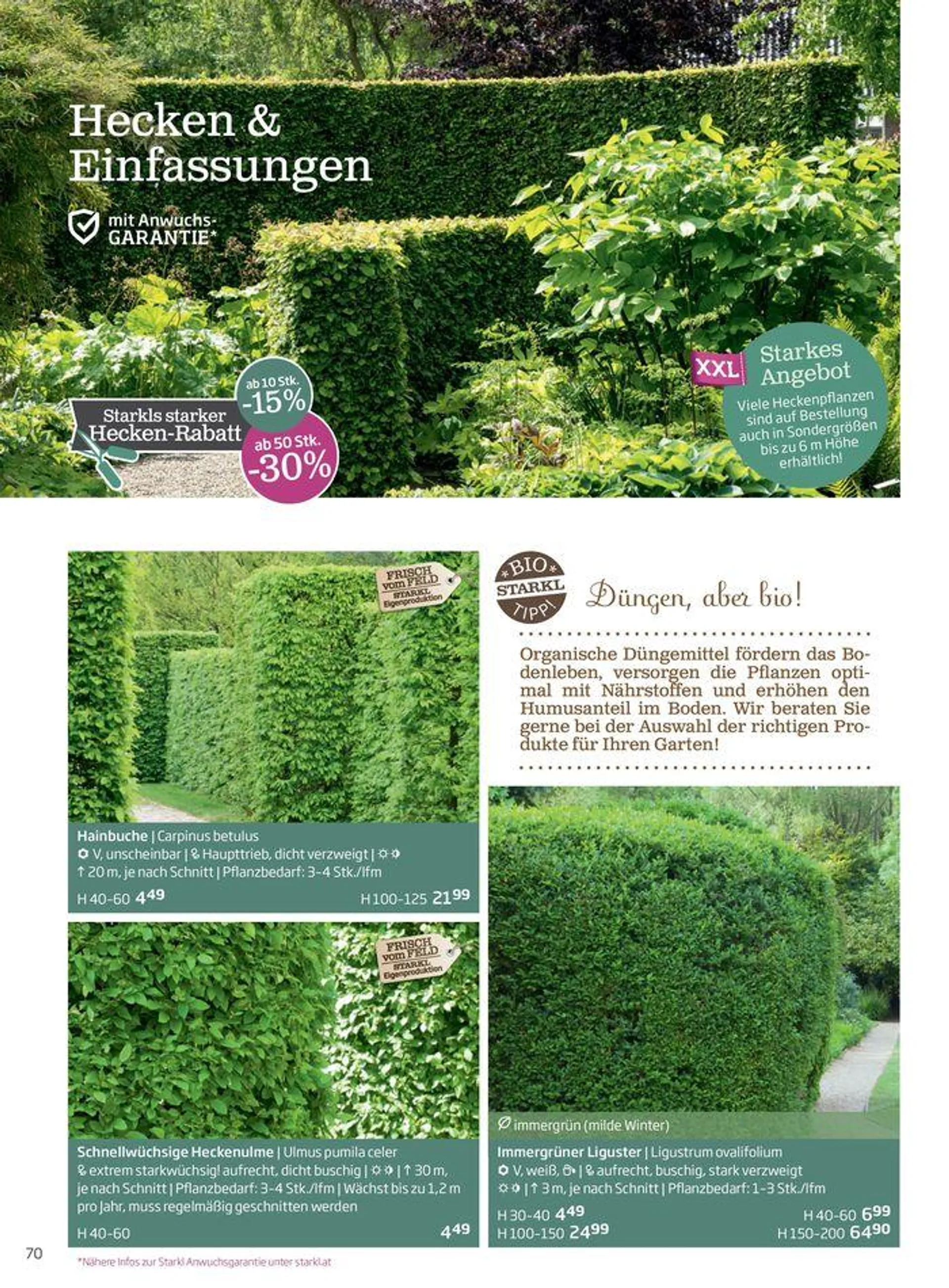 Gartencenter Jahreskatalog 2024 - 70