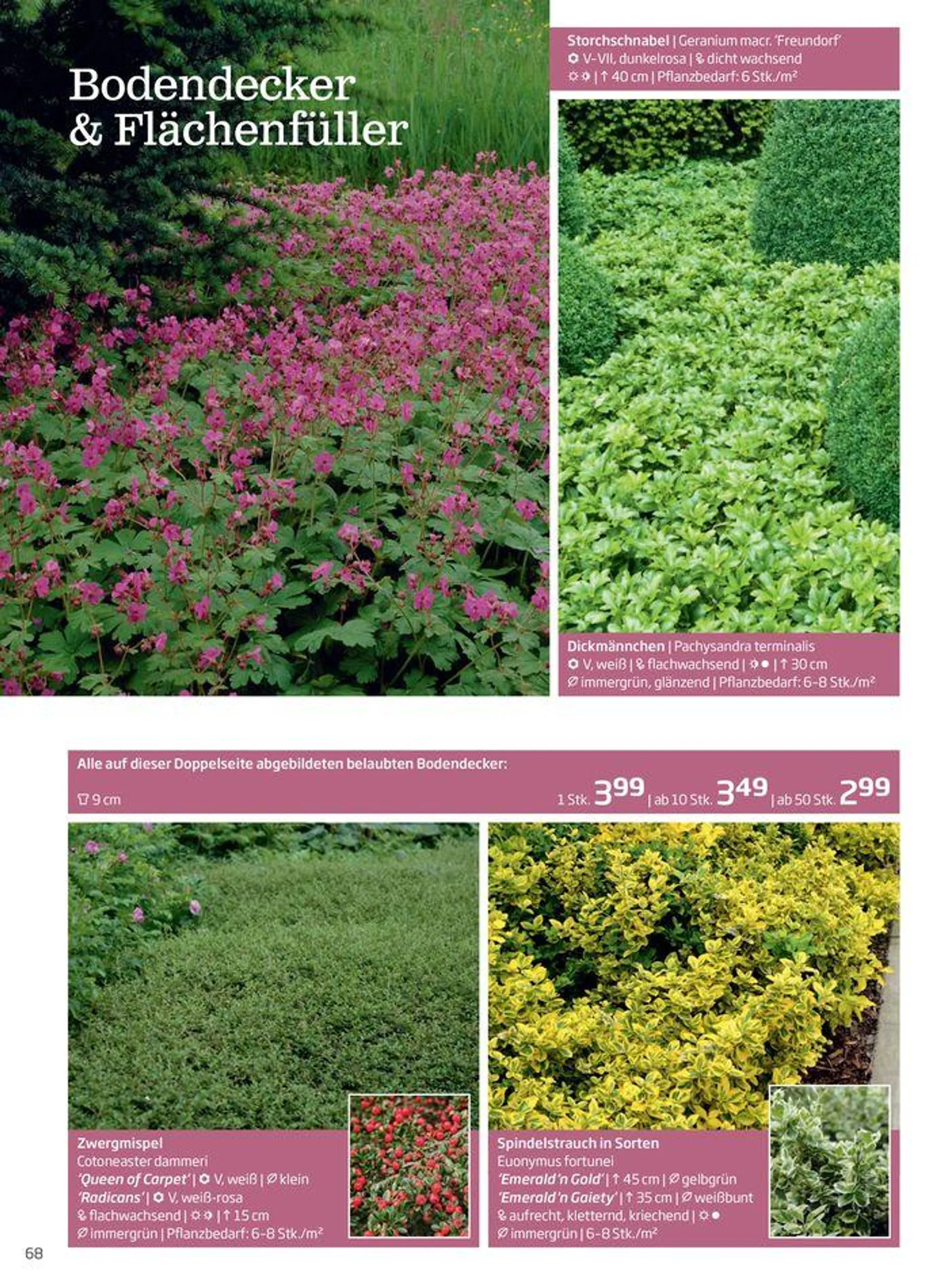 Gartencenter Jahreskatalog 2024 - 68