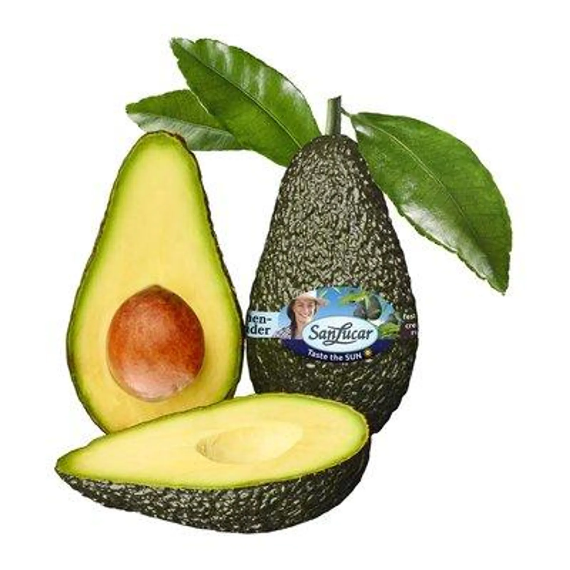 SanLucar Premium Avocado Essreif