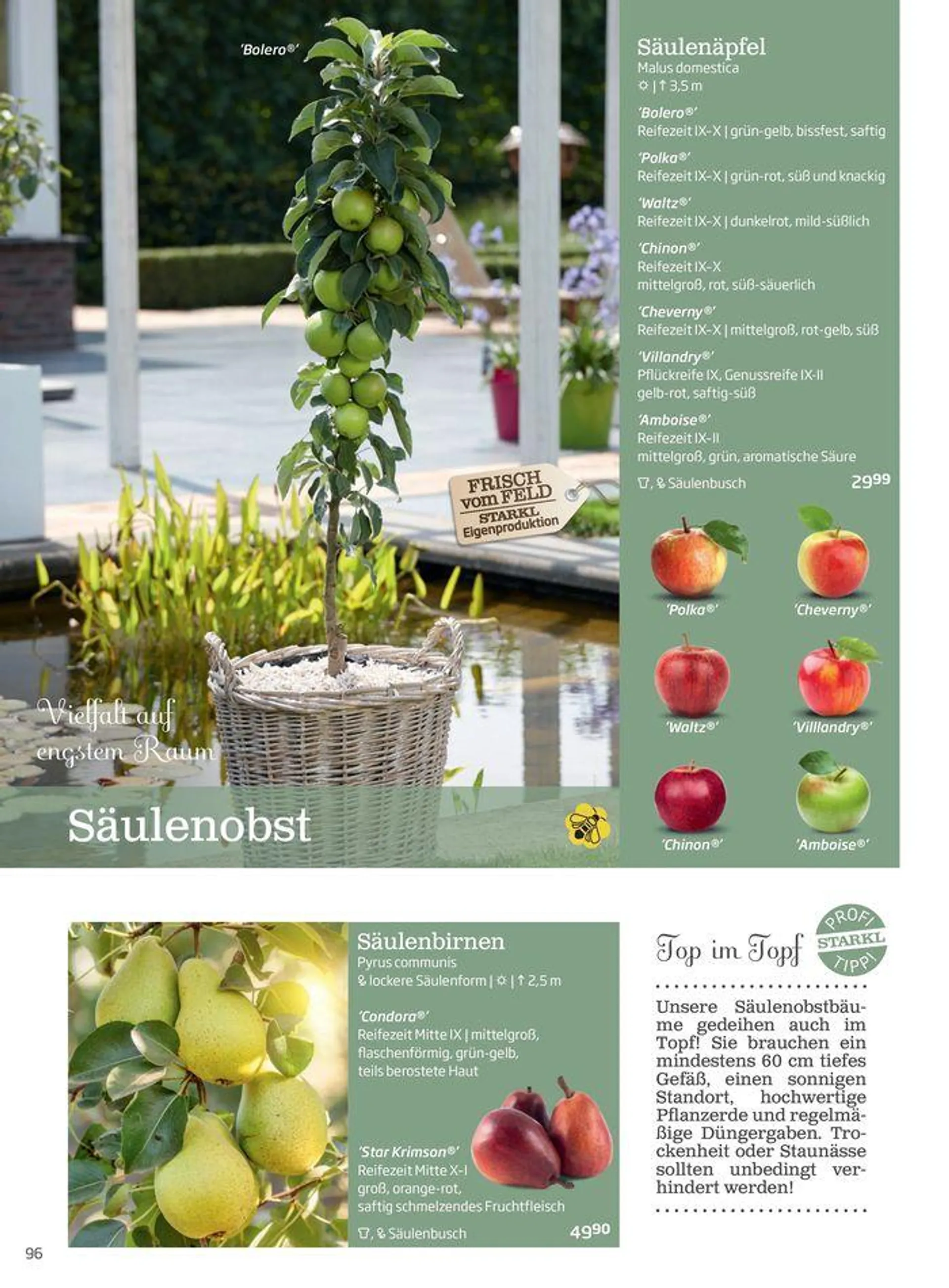 Gartencenter Jahreskatalog 2024 - 96