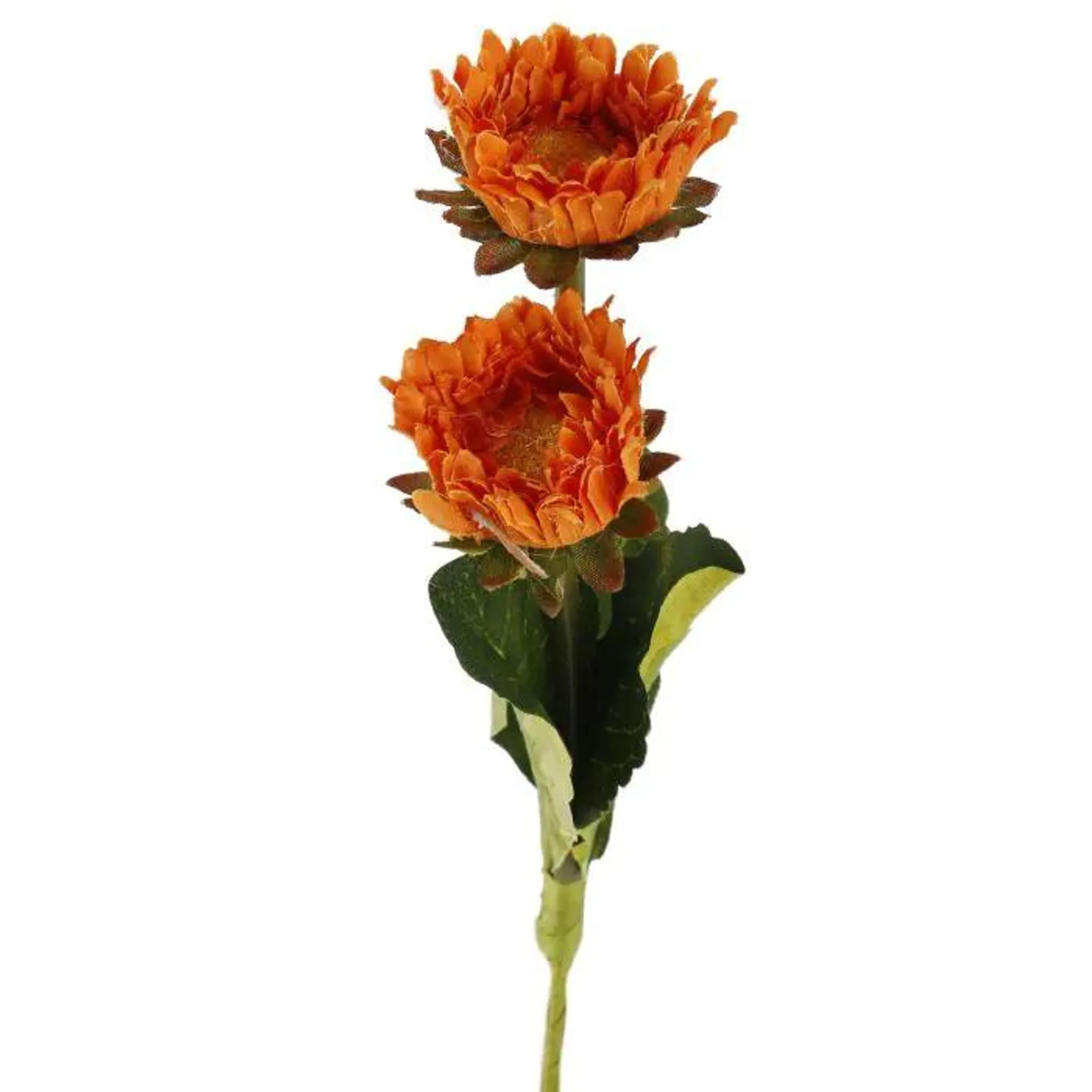 Gänseblümchen mit zwei Blüten, orange, 21 cm