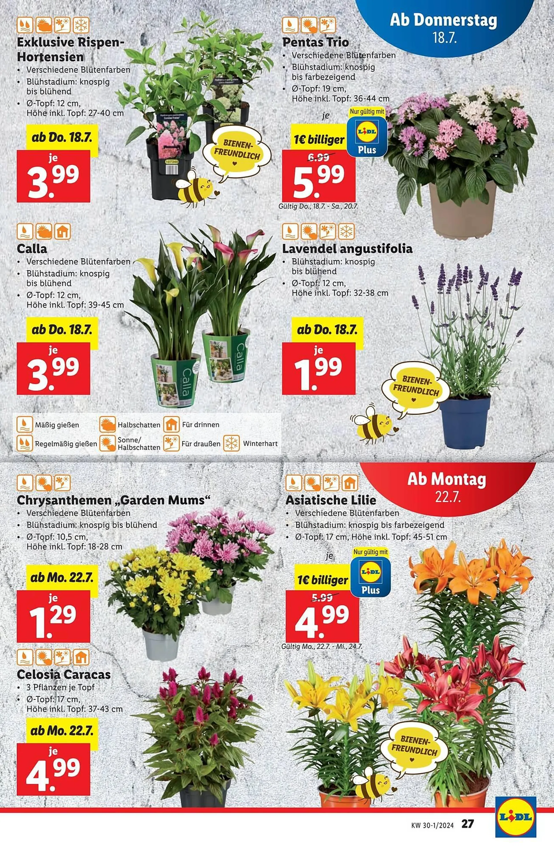 Lidl Flugblatt von 18. Juli bis 24. Juli 2024 - Flugblätt seite  27