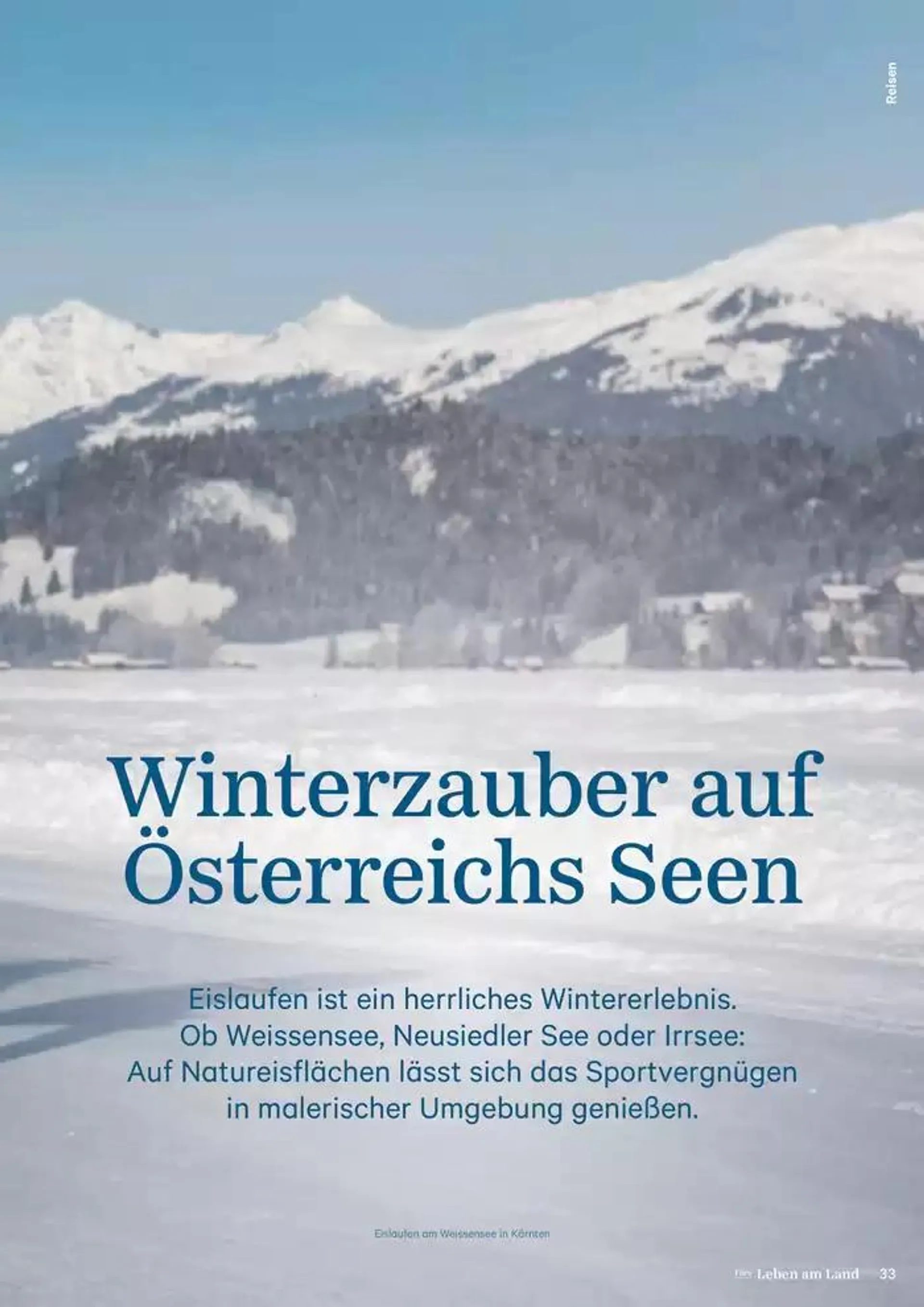 Salzburger Lagerhaus Katalog von 26. Oktober bis 9. November 2024 - Flugblätt seite  33