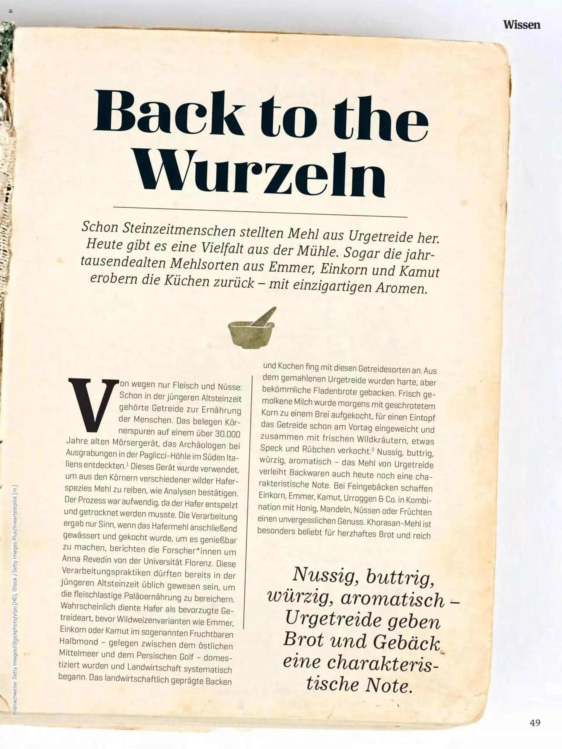 Denns BioMarkt KREO Magazin von 15. April bis 31. Dezember 2024 - Flugblätt seite  49