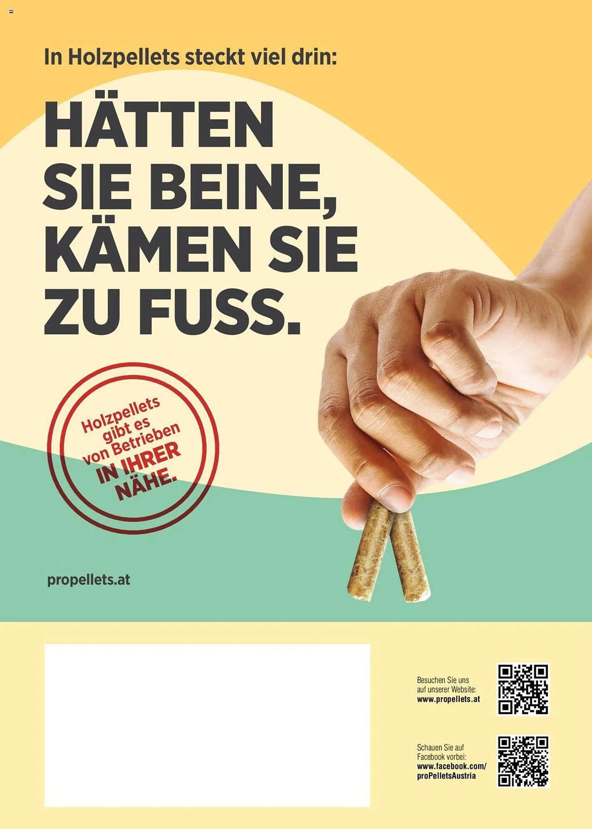 Lagerhaus Flugblatt von 1. September bis 29. Februar 2024 - Flugblätt seite  36