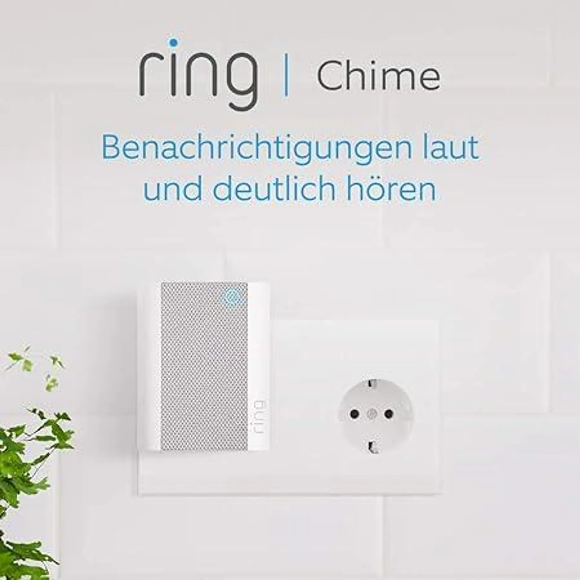 Ring Chime, Weiß