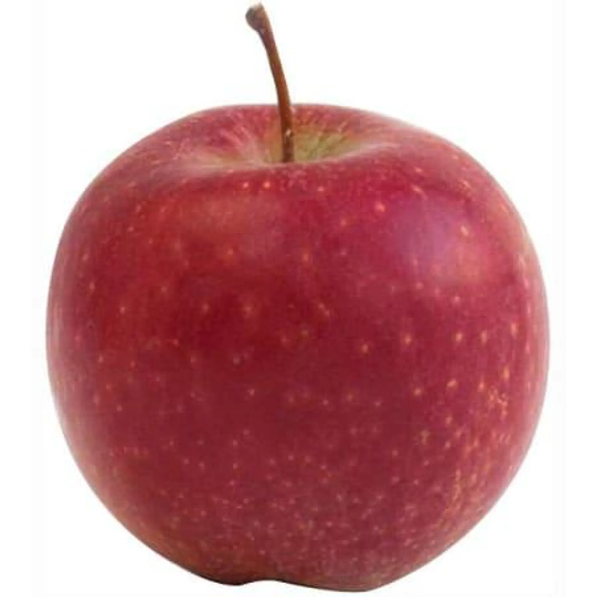 Braeburn Apfel ca. 1 Stück