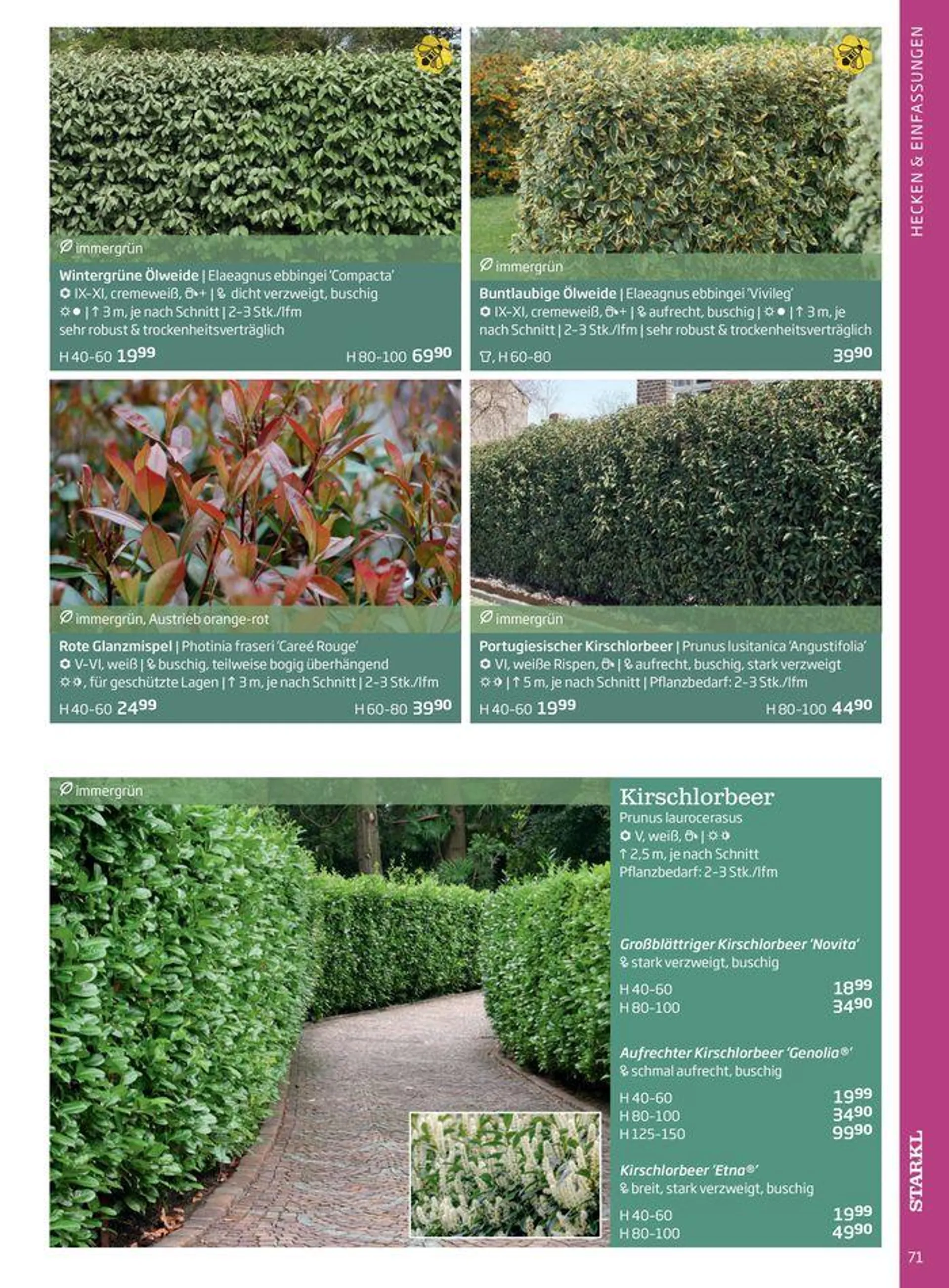 Gartencenter Jahreskatalog 2024 - 71