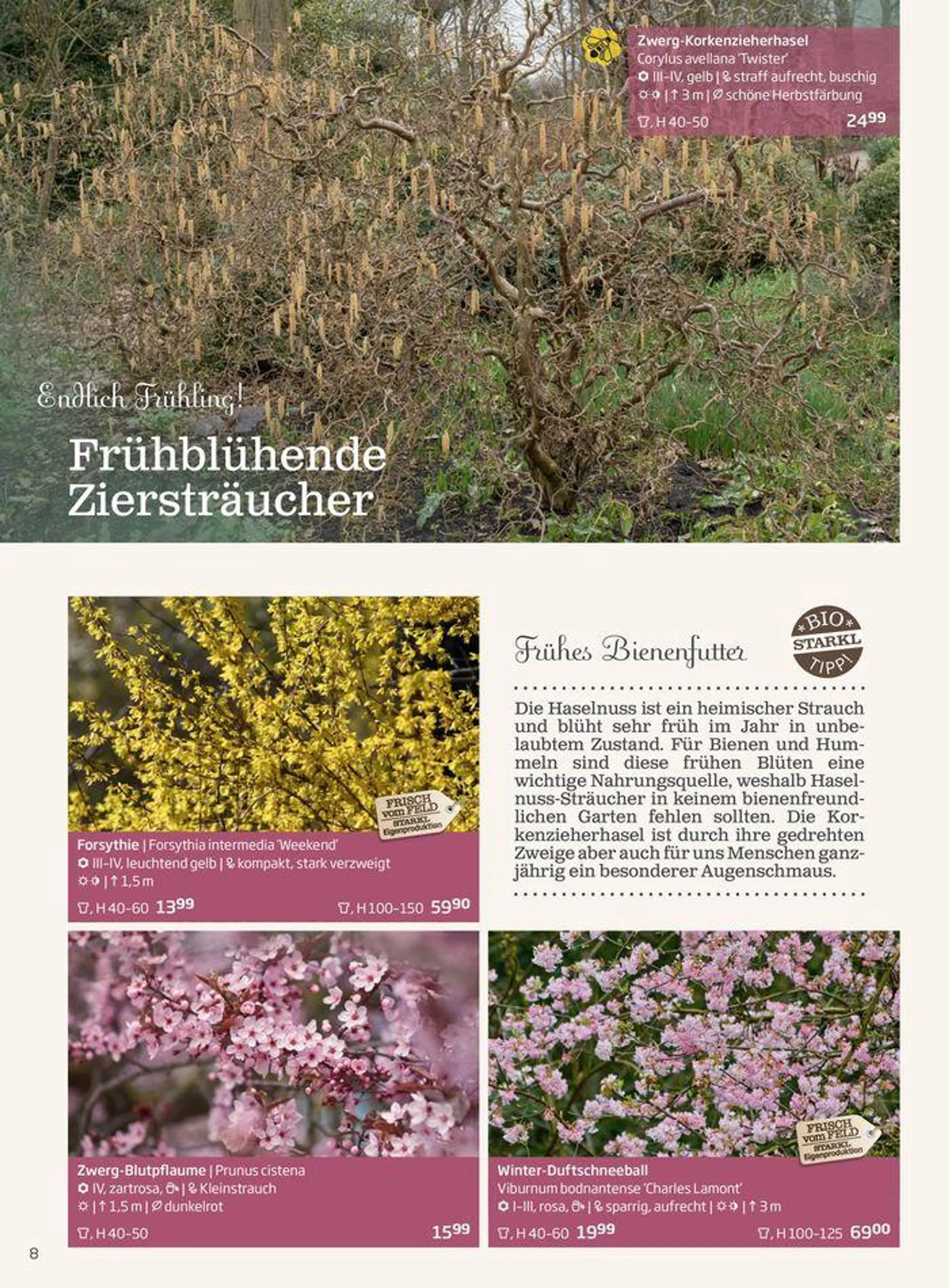 Gartencenter Jahreskatalog 2024 - 8