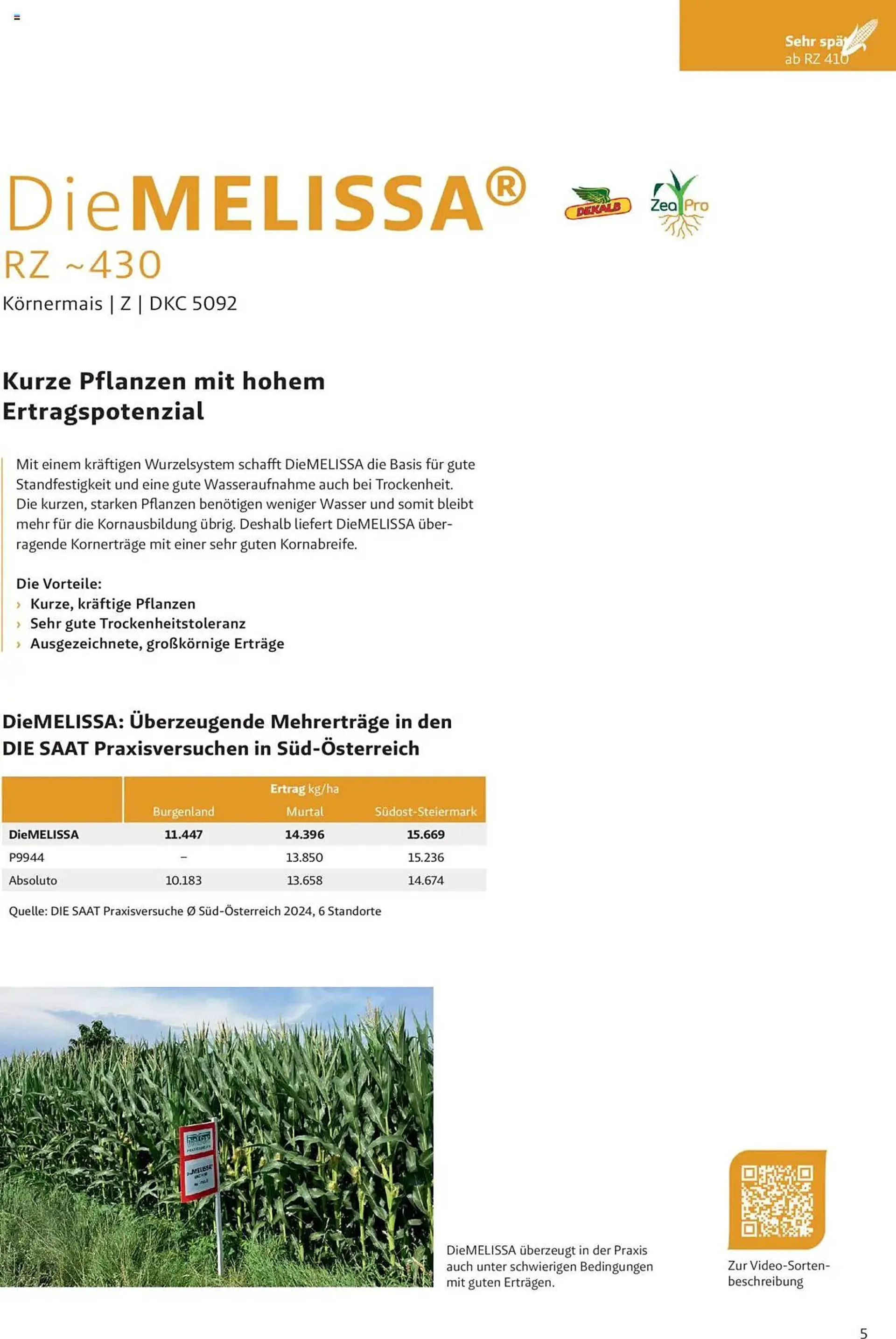 Lagerhaus Flugblatt von 4. Dezember bis 2. Juni 2025 - Flugblätt seite  5
