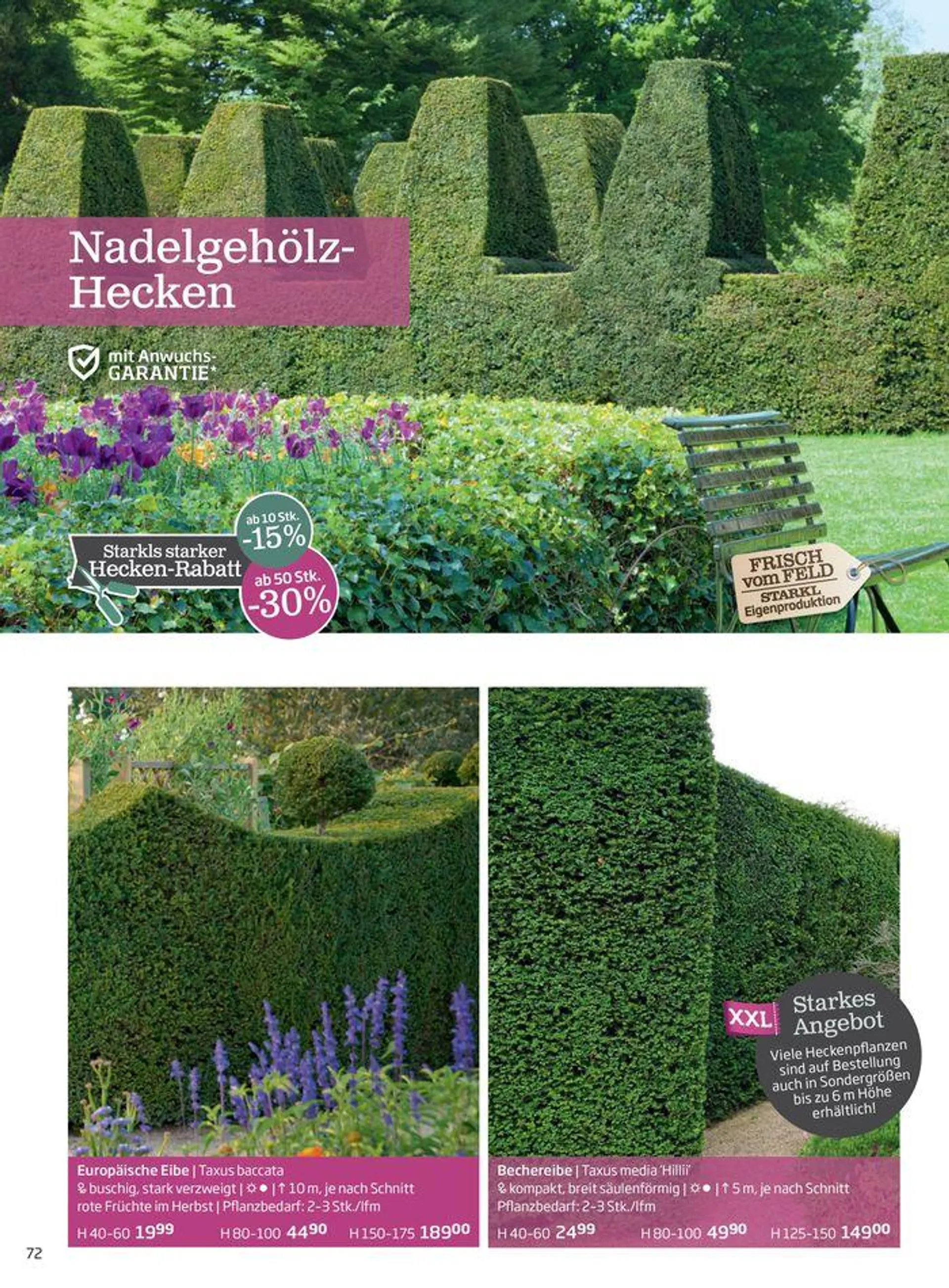 Gartencenter Jahreskatalog 2024 - 72