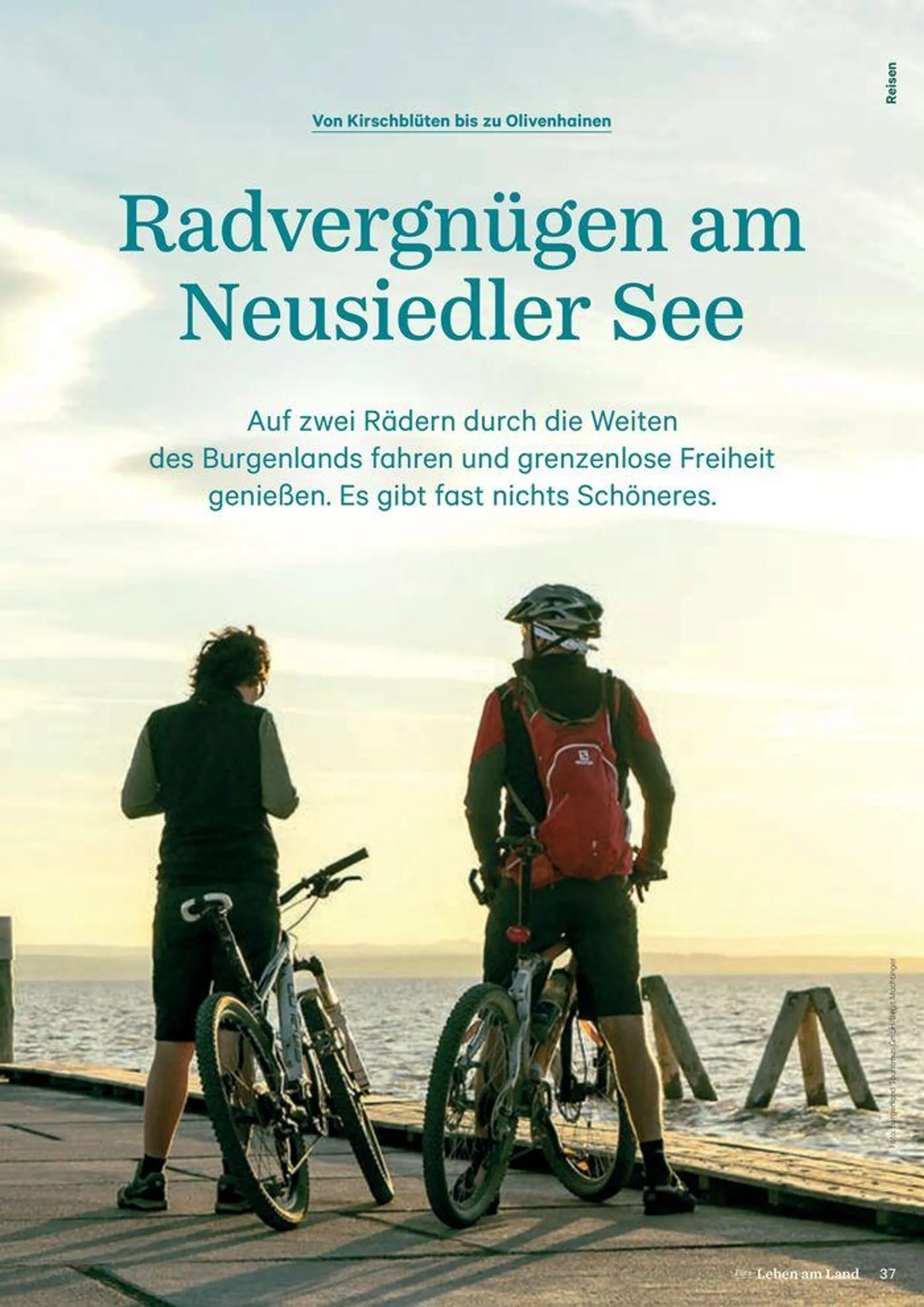 No. 2 - Lagerhaus Magazine 2024 von 17. Mai bis 31. Dezember 2024 - Flugblätt seite  37