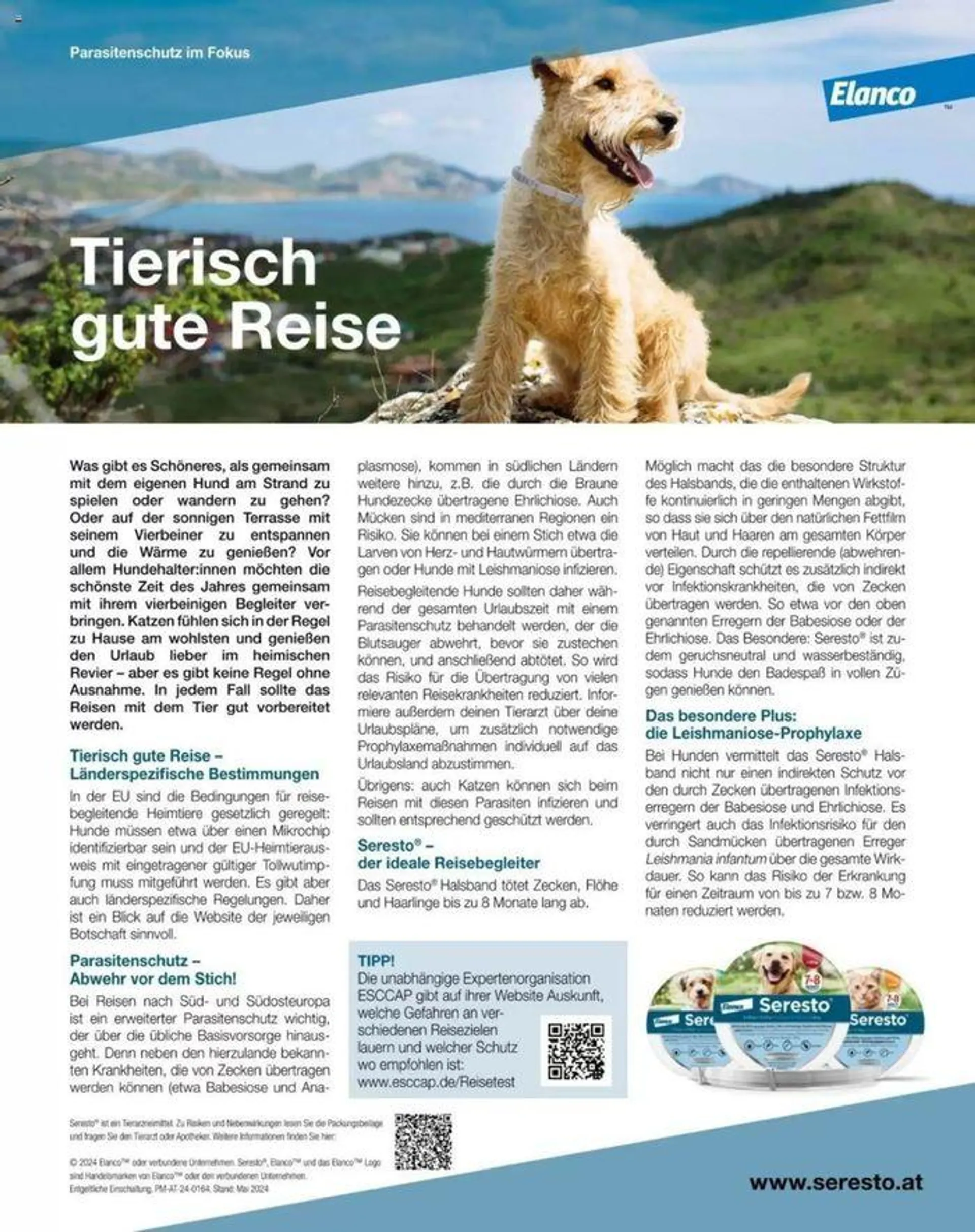 Fressnapf Magazin von 1. Juli bis 31. Juli 2024 - Flugblätt seite  39