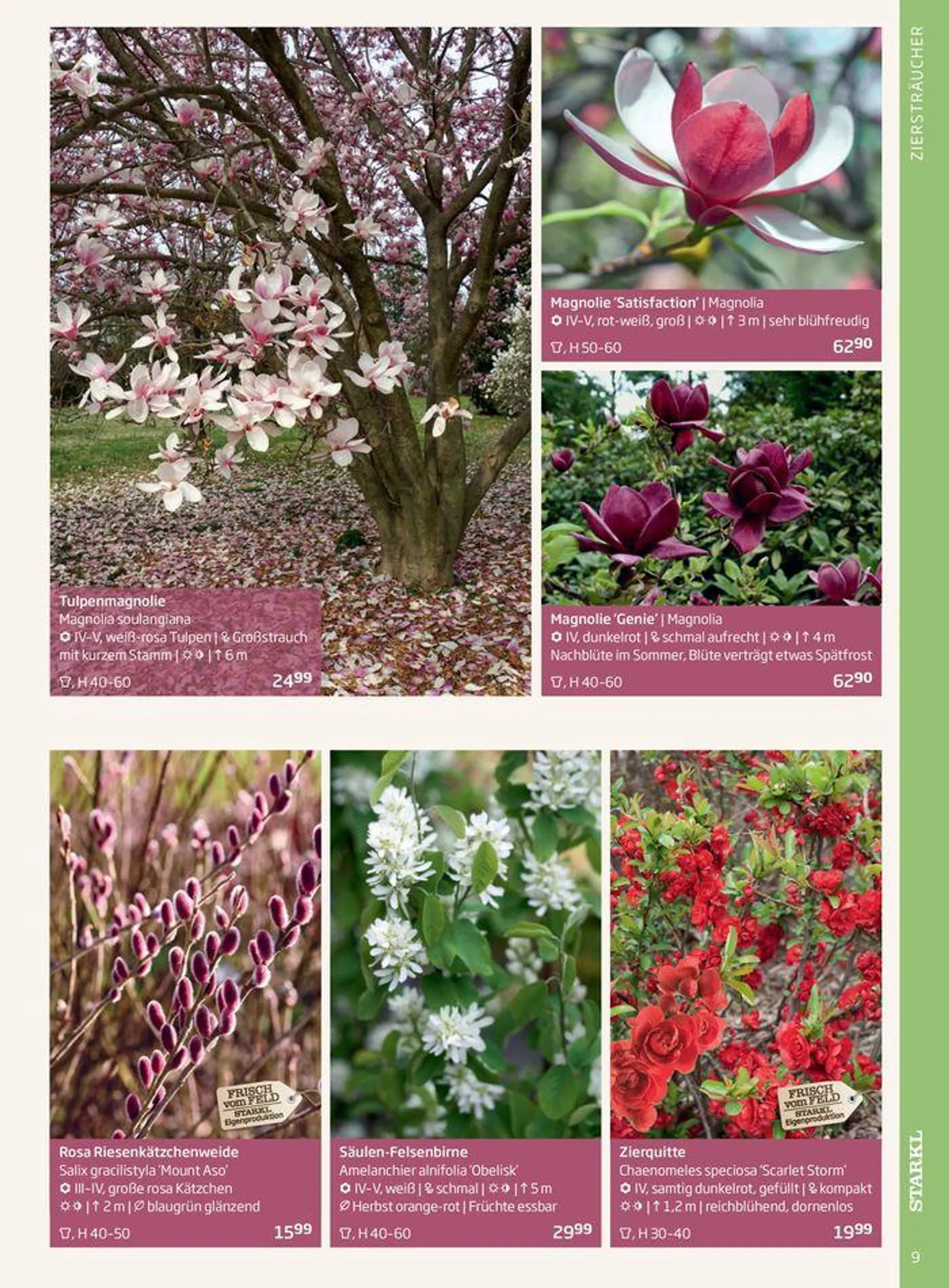 Gartencenter Jahreskatalog 2024 - 9