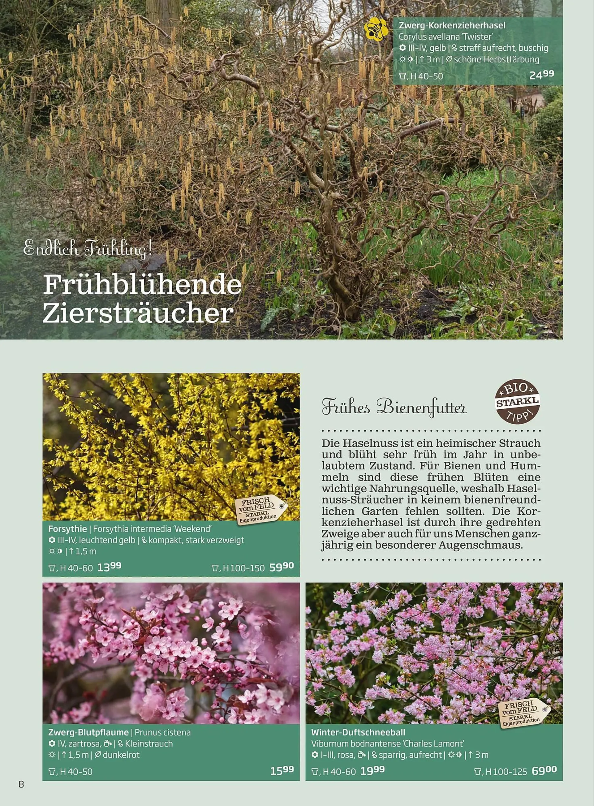 Starkl Flugblatt von 1. Jänner bis 31. Dezember 2023 - Flugblätt seite  8