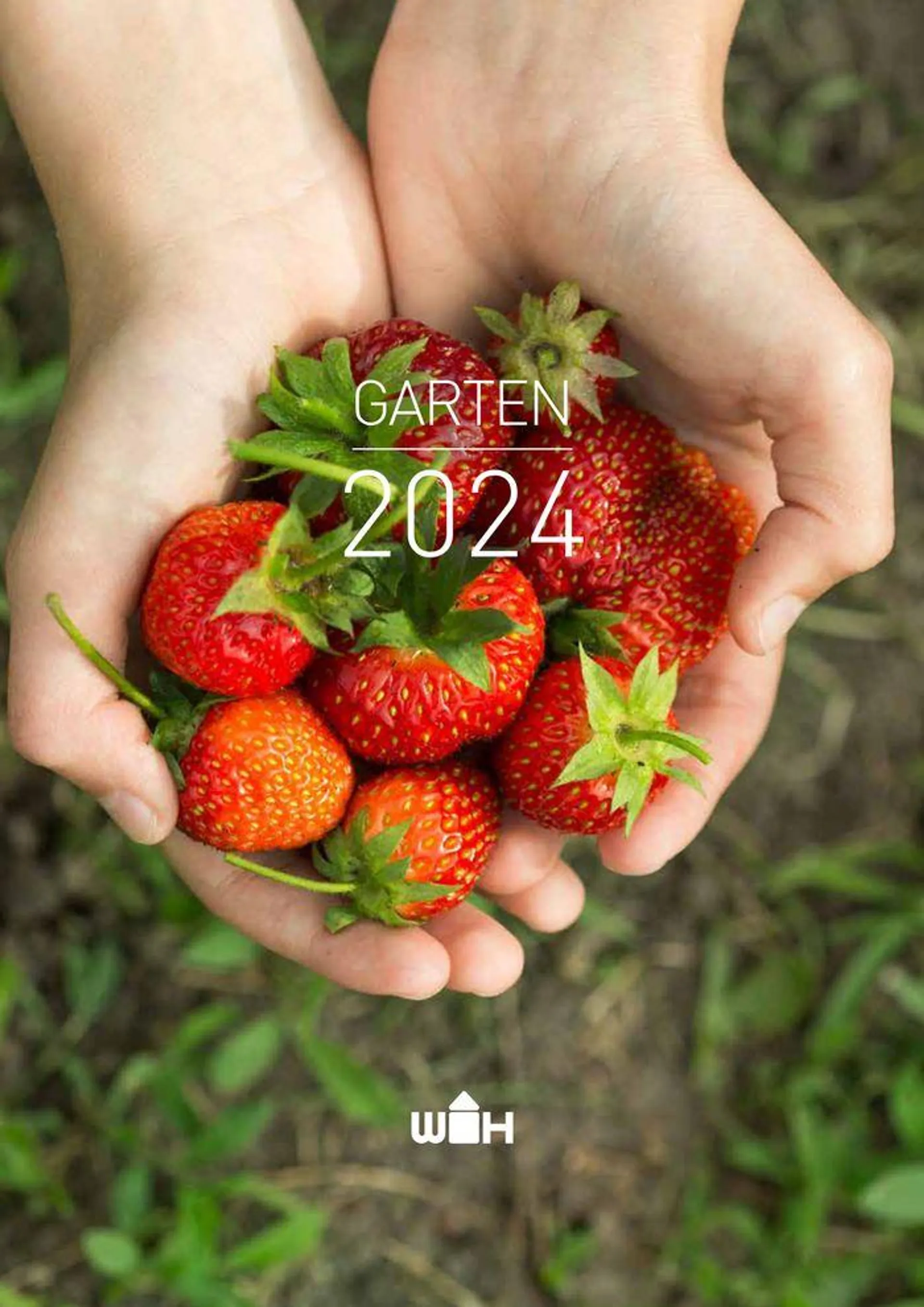 Garten 2024 - 1