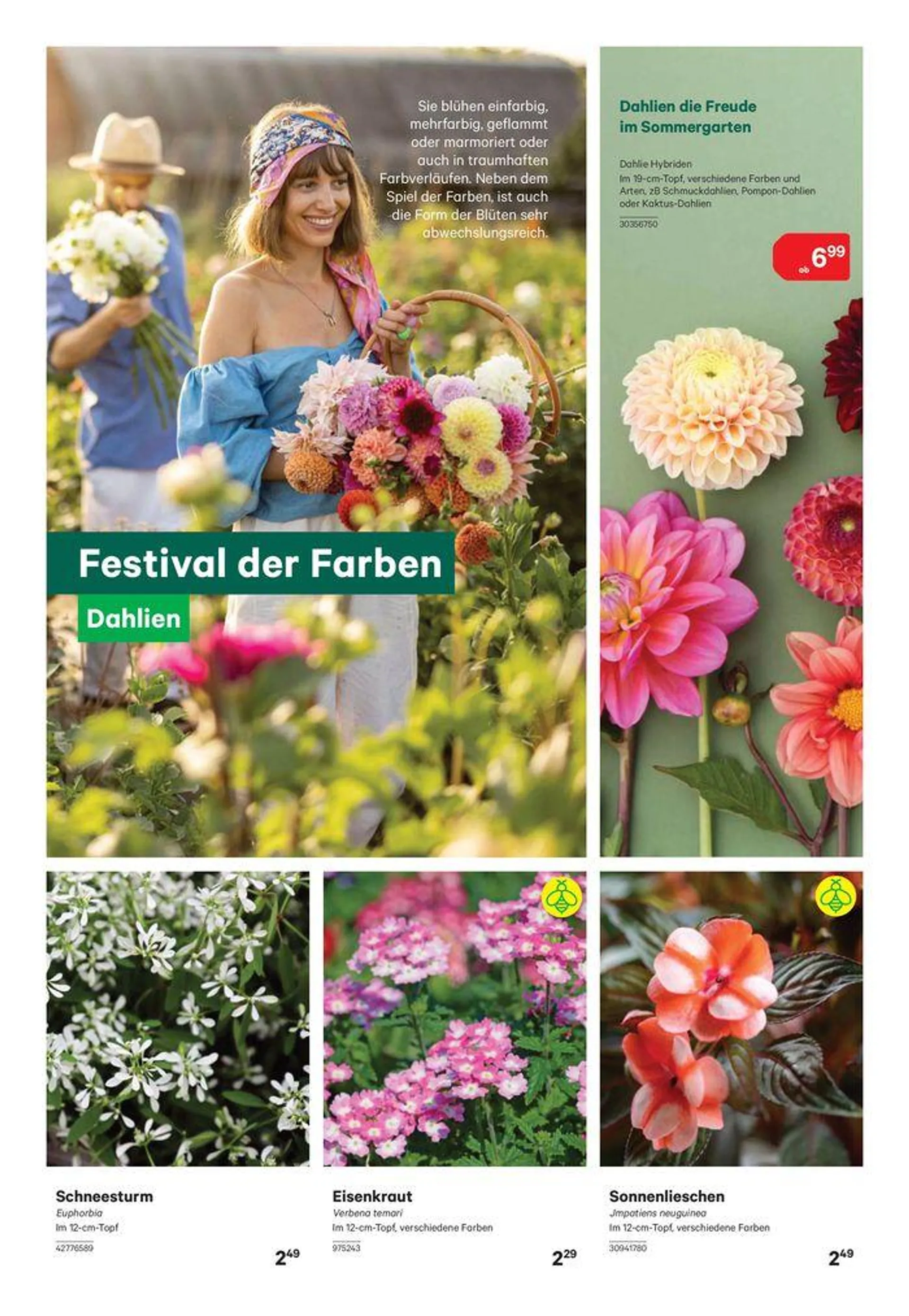 Bau & Gartenmarkt Bis 15. Juni 2024 von 4. Juni bis 15. Juni 2024 - Flugblätt seite  5