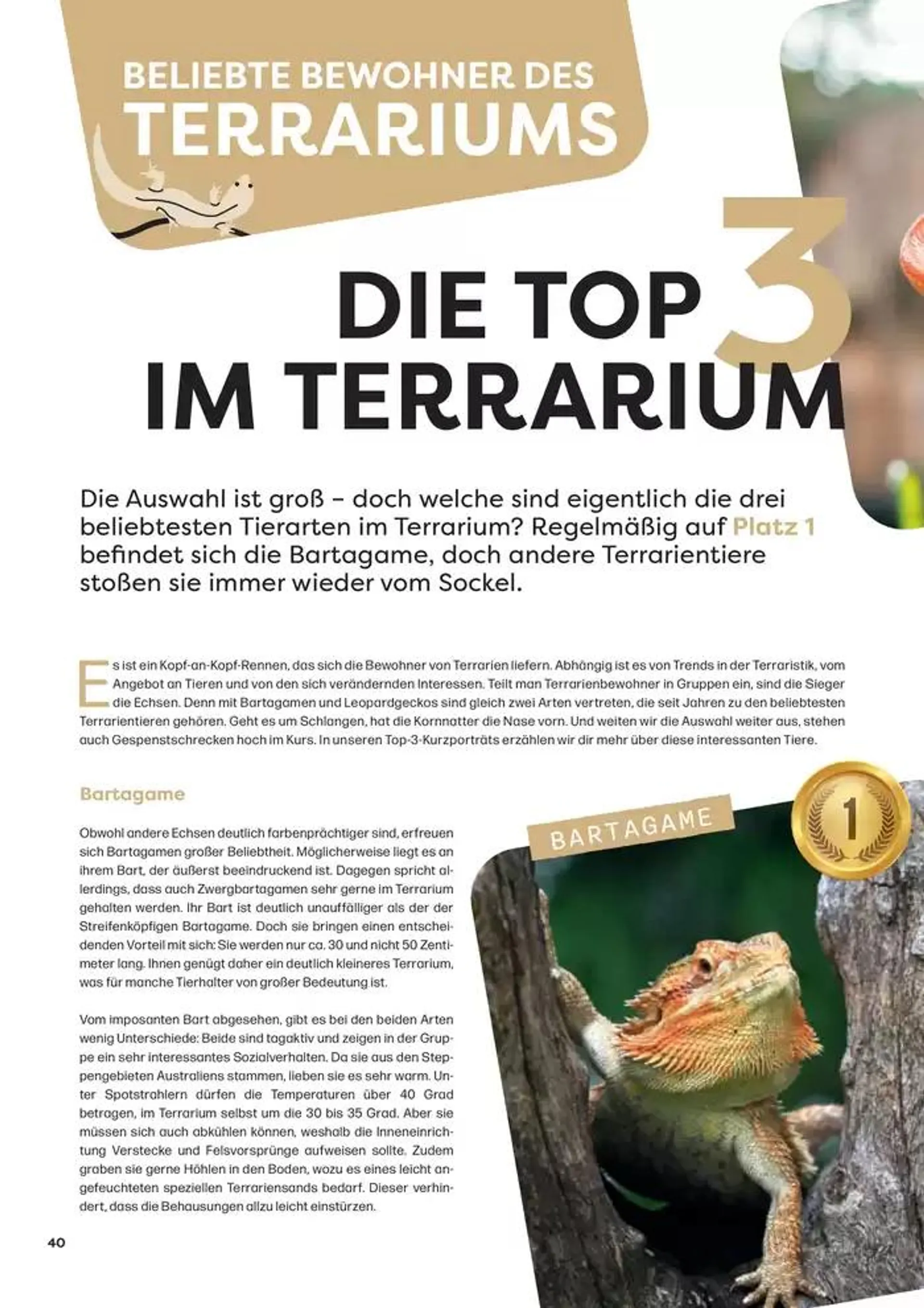 Angebote ZOO & Co von 29. November bis 13. Dezember 2024 - Flugblätt seite  40