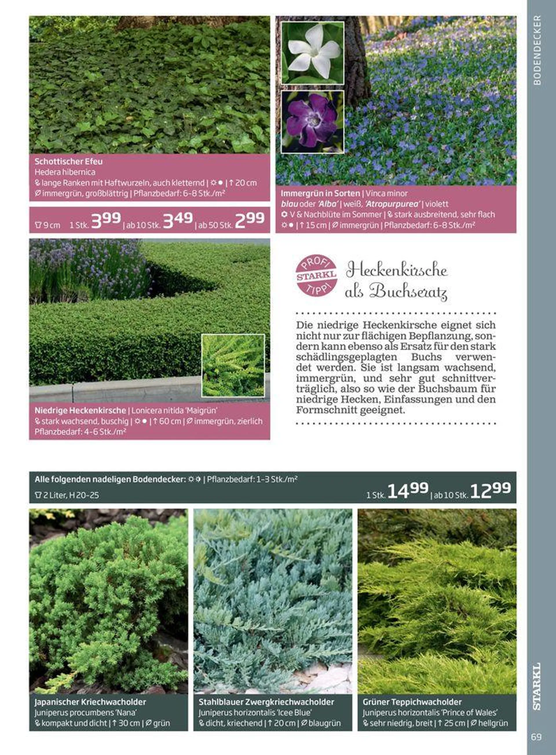 Gartencenter Jahreskatalog 2024 - 69