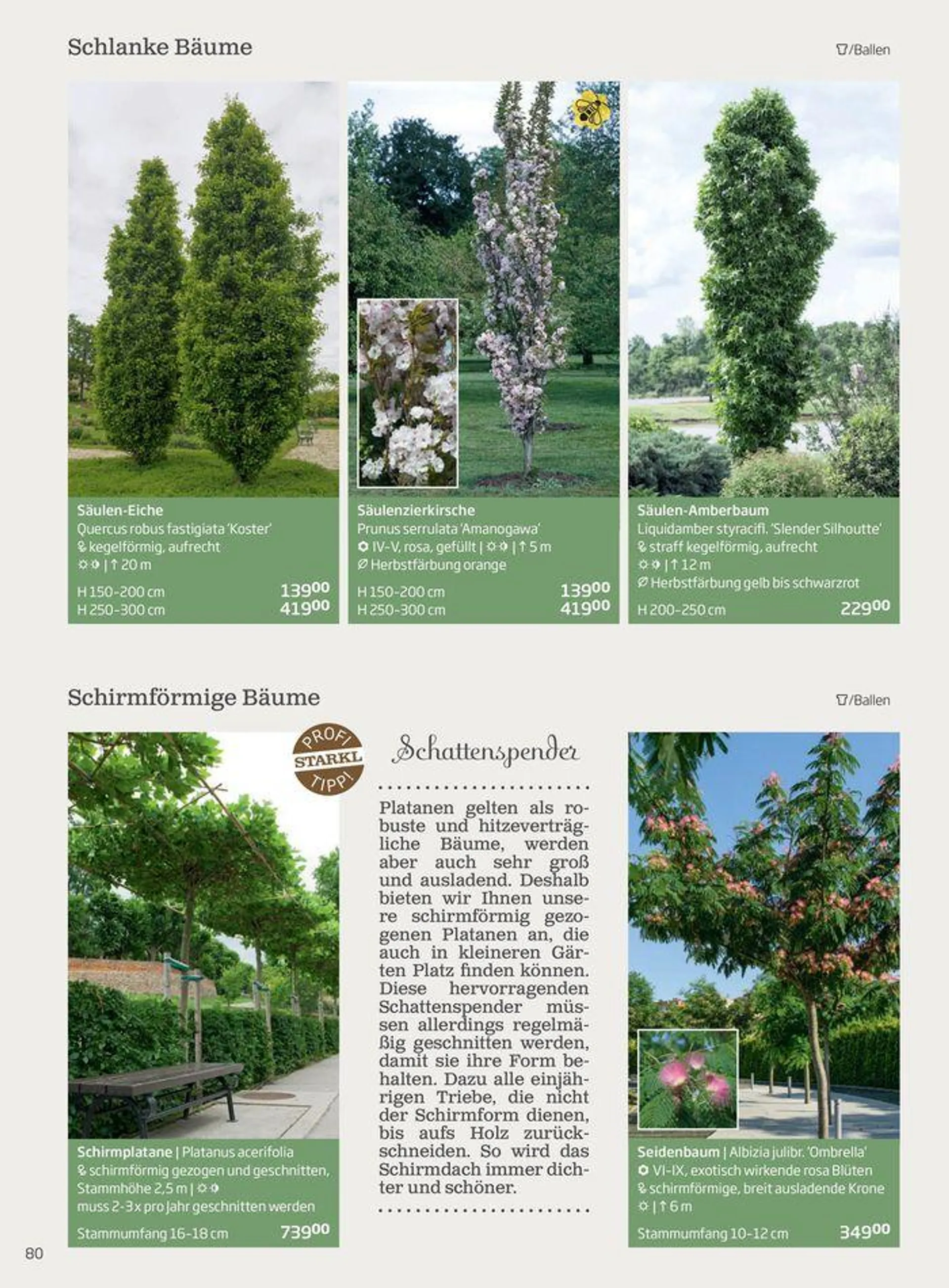 Gartencenter Jahreskatalog 2024 - 80